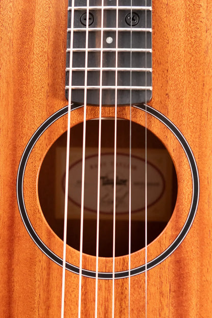 Taylor BT2 Mahogany Acoustic Guitar with Gig Bag