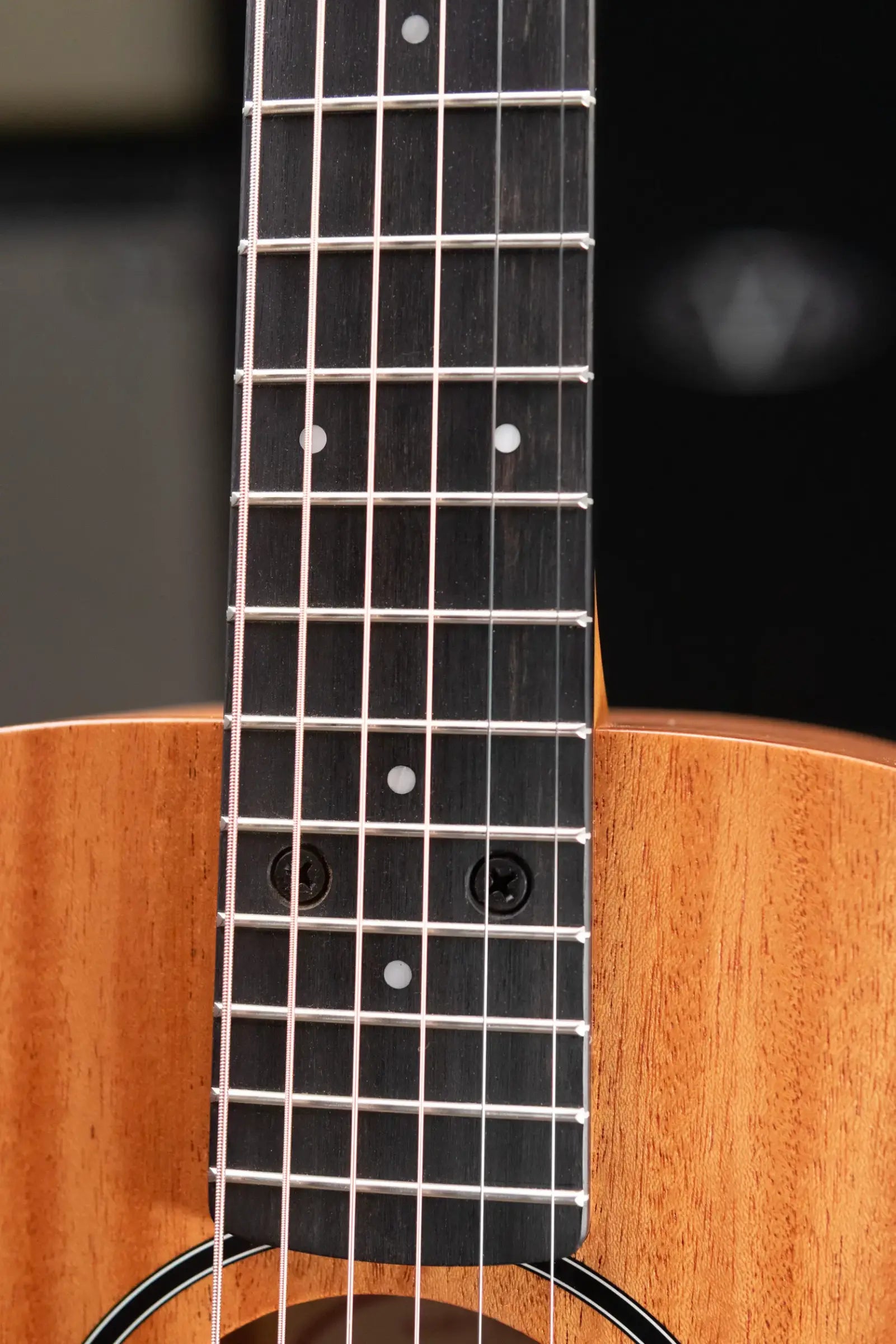 Taylor BT2 Mahogany Acoustic Guitar with Gig Bag