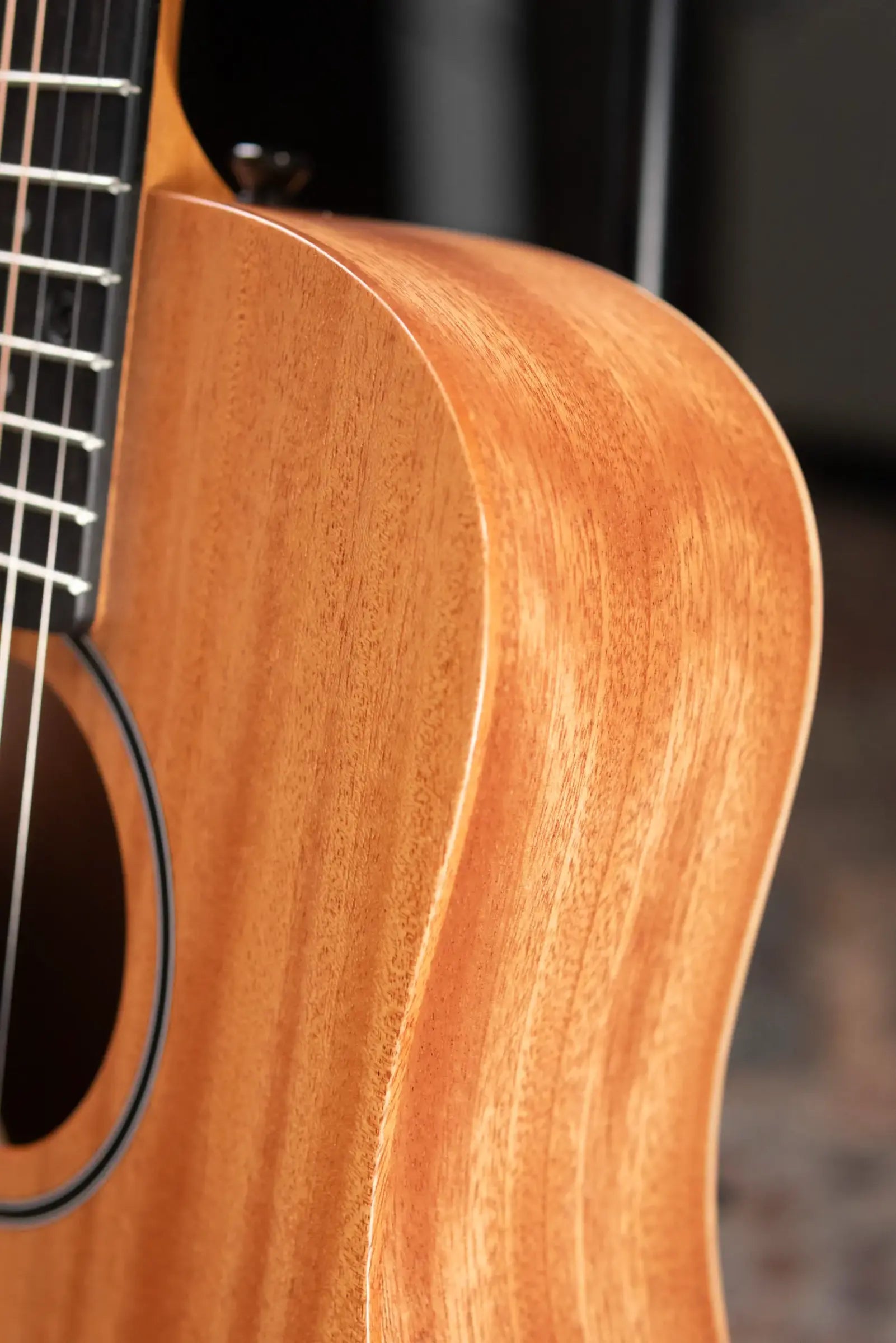 Taylor BT2 Mahogany Acoustic Guitar with Gig Bag