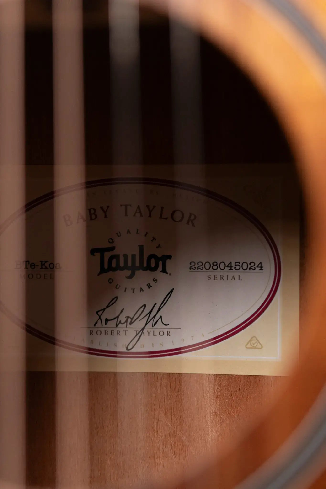 Taylor BTe-Koa Baby Taylor Acoustic/Electric Guitar with Gig Bag