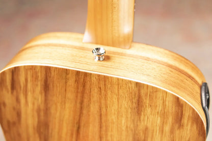 Taylor BTe-Koa Baby Taylor Acoustic-Electric Guitar with Gig Bag