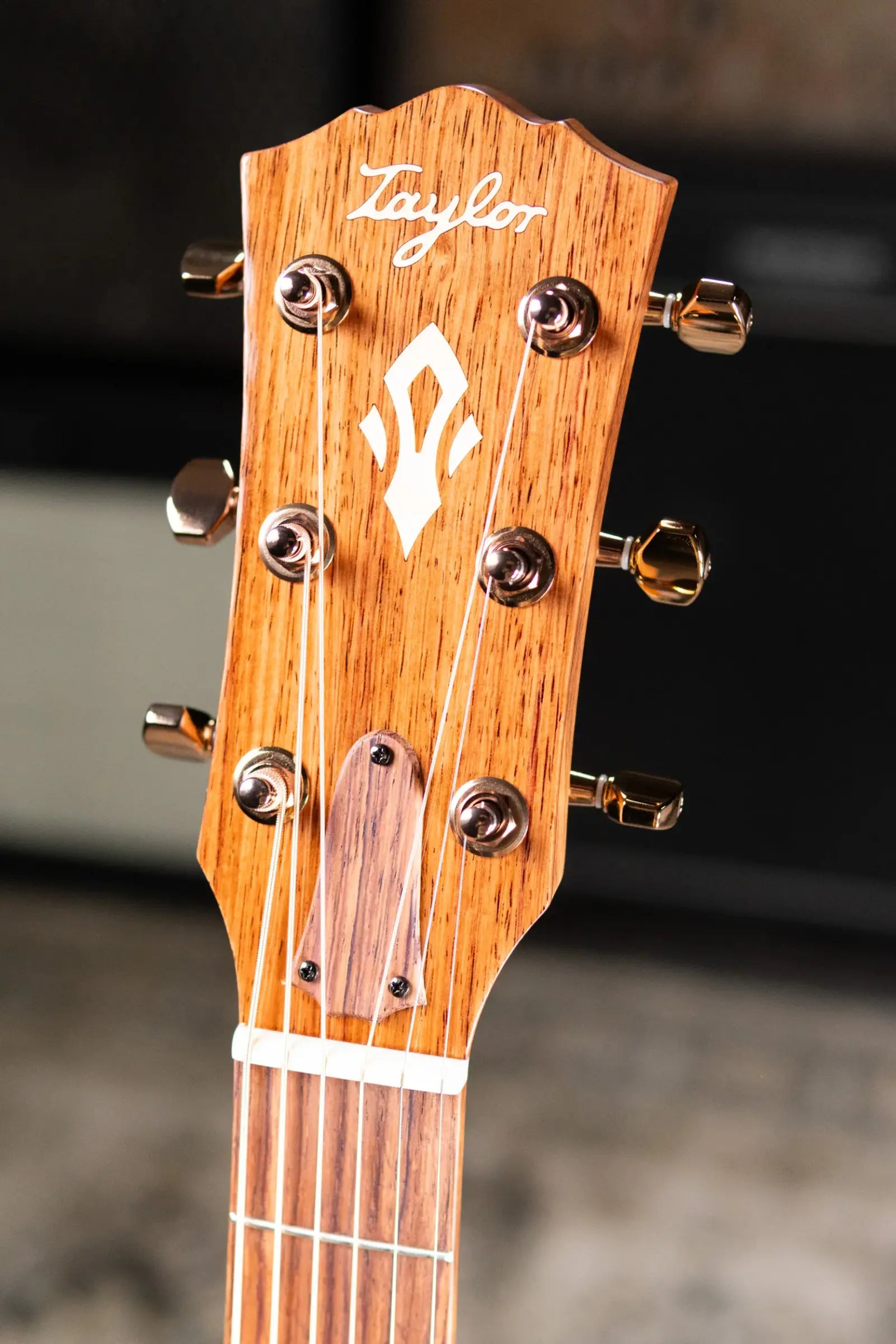 Taylor Ben Harper Gold Label 512e Special Edition Acoustic/Electric Guitar - Sunburst with Hardshell Case
