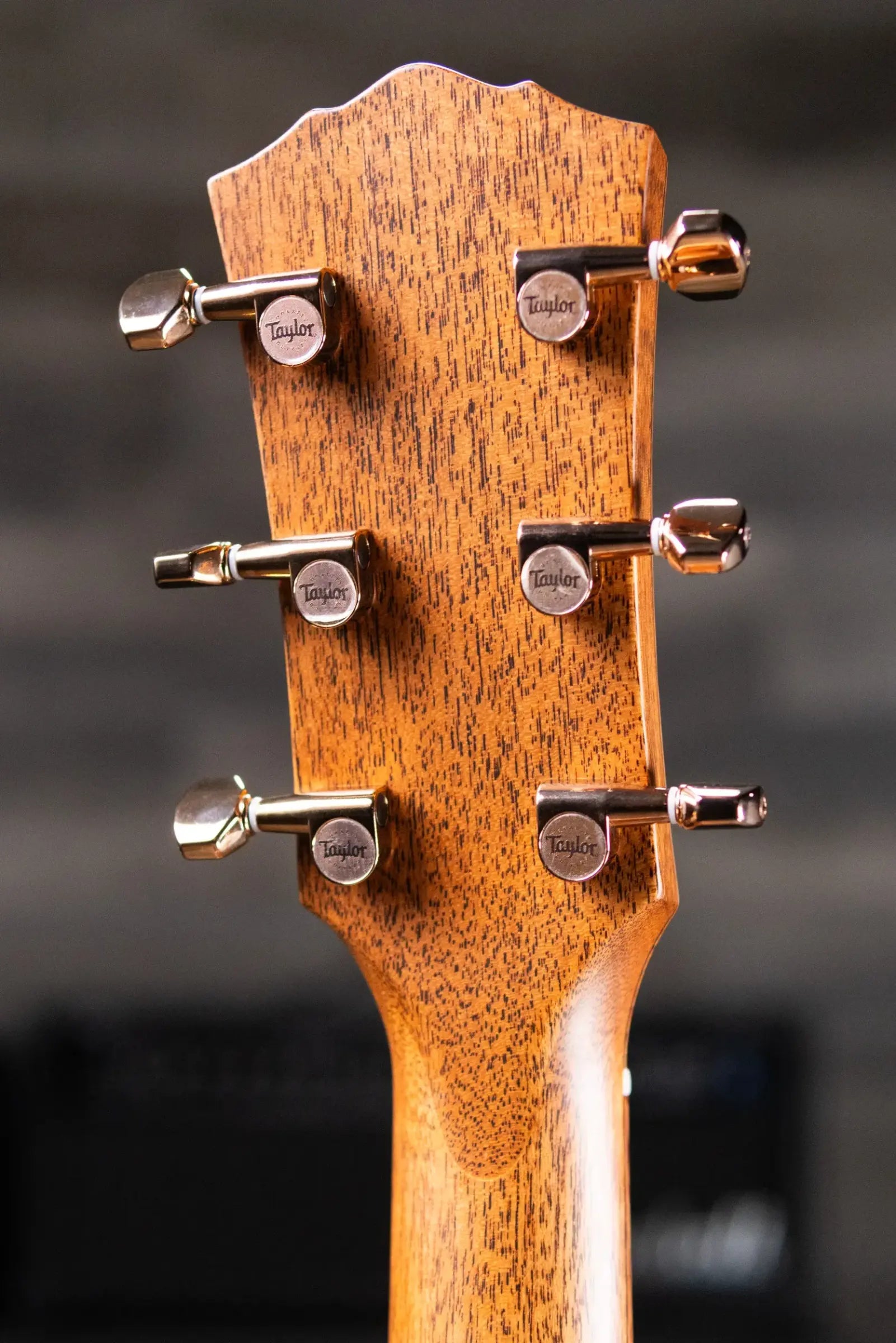 Taylor Ben Harper Signature Gold Label 512e SE Grand Concert Acoustic/Electric Guitar - Sunburst Top with Hardshell Case