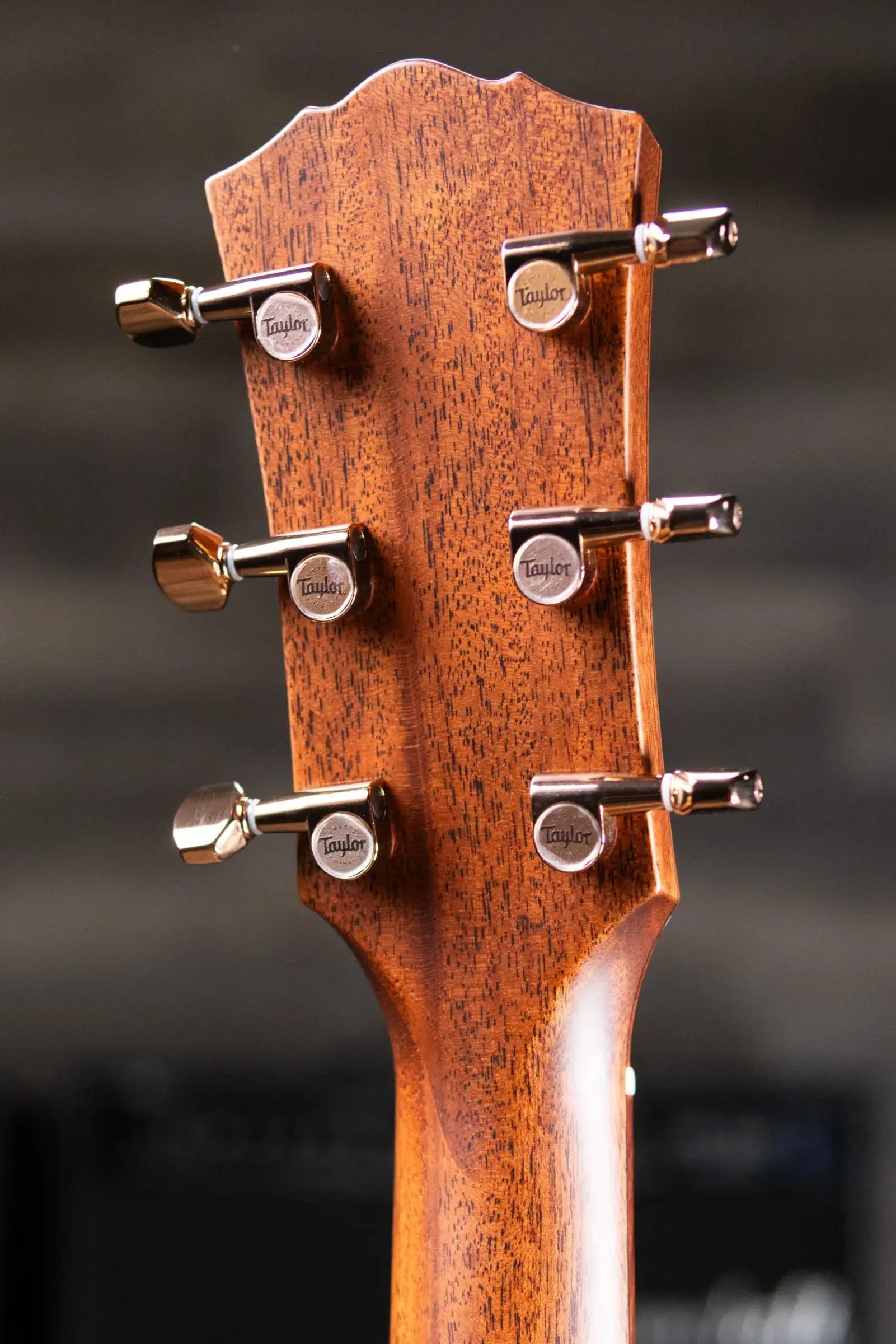 Taylor Ben Harper Signature Gold Label 512e SE Grand Concert Acoustic/Electric Guitar - Sunburst Top with Hardshell Case