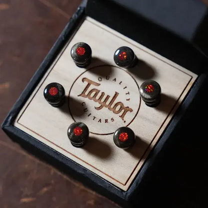 Taylor Bridge Pin Set, 5" Taper, Bone, Brown w/ Red Opal