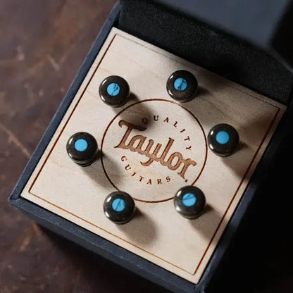 Taylor Bridge Pin Set, Bone, Brown w/ Turquoise