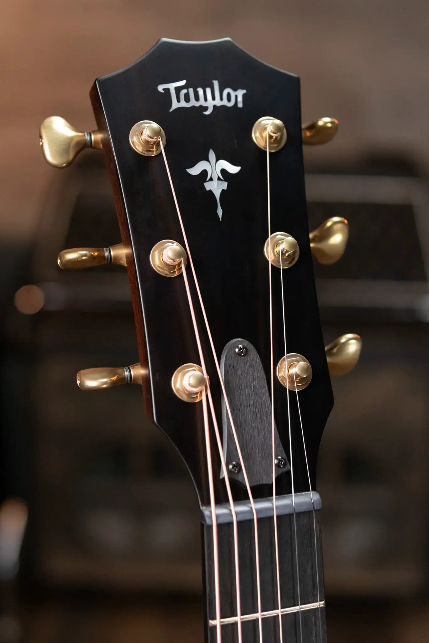 Taylor Builder's Edition 614ce Grand Auditorium Acoustic/Electric - Wild Honey Burst with Hardshell Case