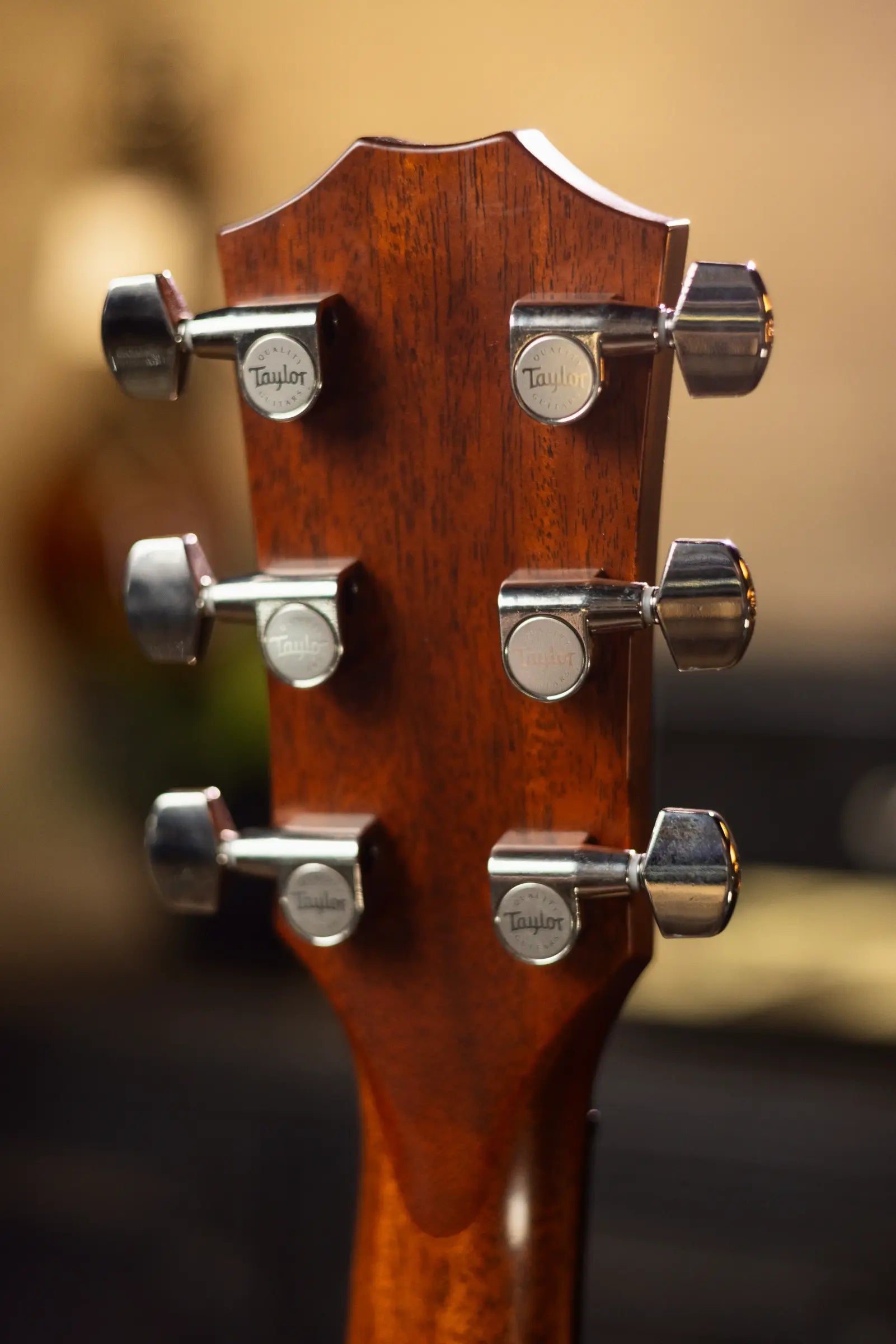 Taylor Builder's Edition 717e Acoustic-Electric Guitar - Used