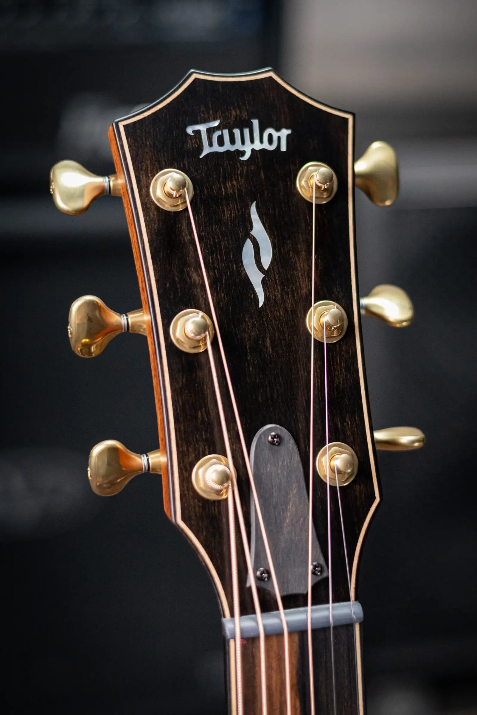 Taylor Builder's Edition 814ce Acoustic/Electric Guitar - Adirondack Spruce with Deluxe Hardshell Case