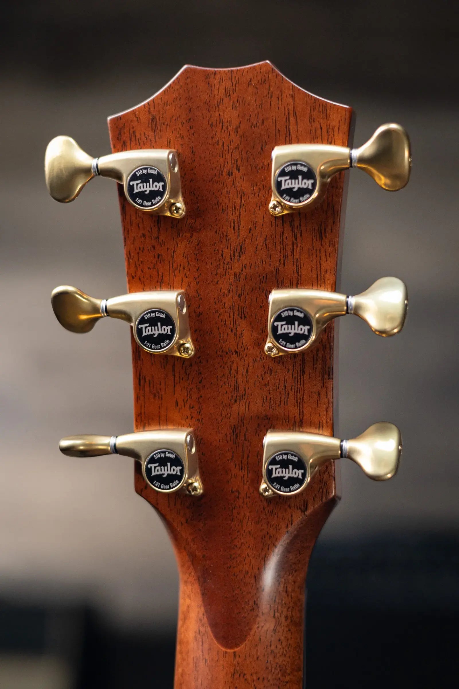 Taylor Builder's Edition 814ce Acoustic/Electric Guitar - Adirondack Spruce with Deluxe Hardshell Case