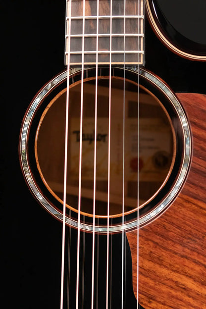 Taylor Builder's Edition 814ce Grand Auditorium Acoustic/Electric Guitar - Blacktop with Hardshell Case
