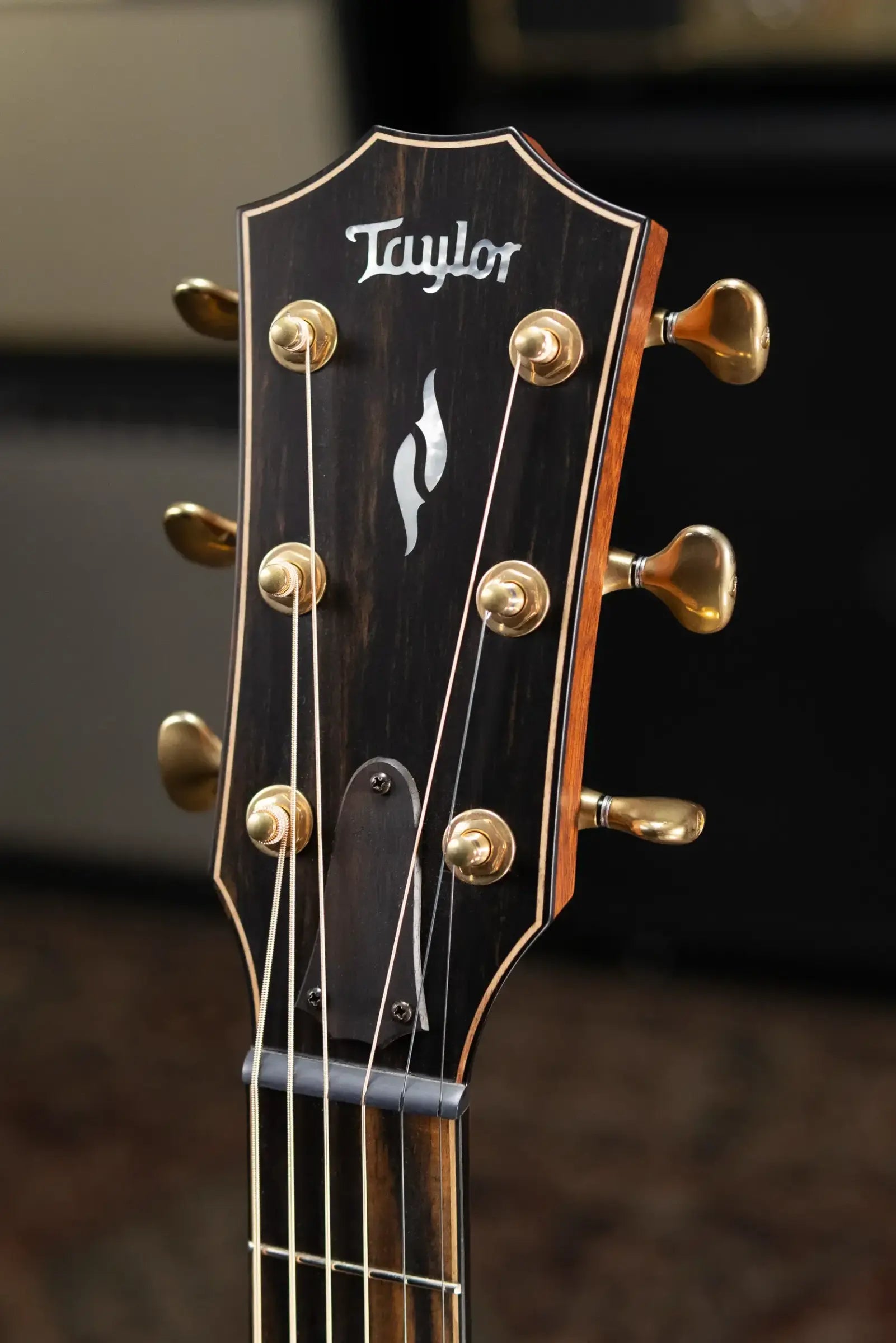 Taylor Builder's Edition 814ce Grand Auditorium Acoustic/Electric Guitar - Blacktop with Hardshell Case