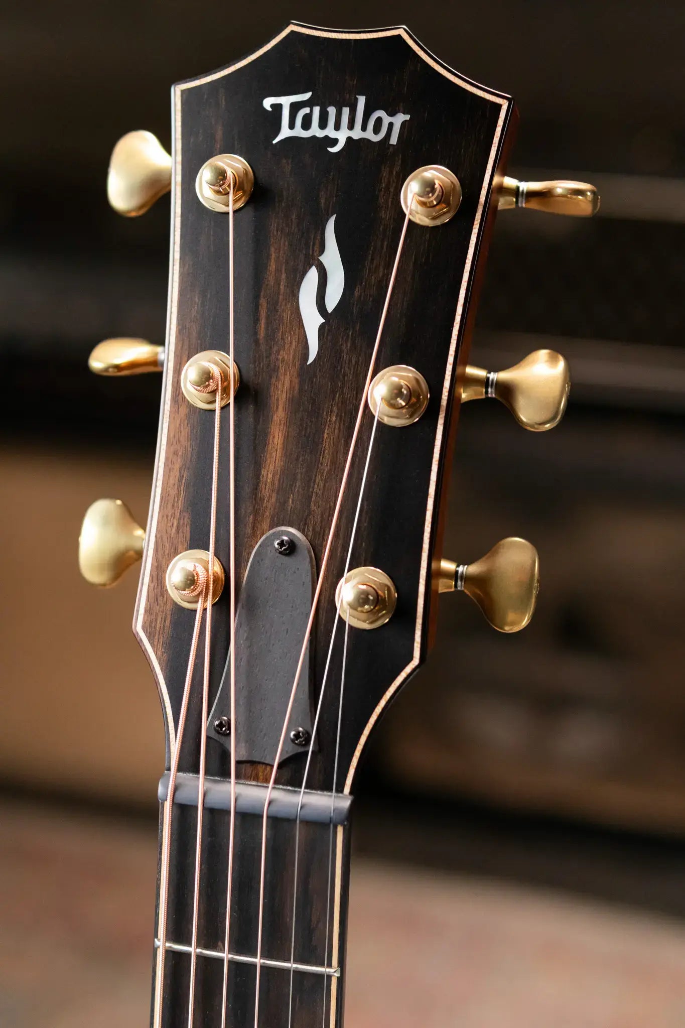 Taylor Builder's Edition 814ce Honduran Rosewood Grand Auditorium Acoustic/Electric Guitar with Hardshell Case - Factory Demo