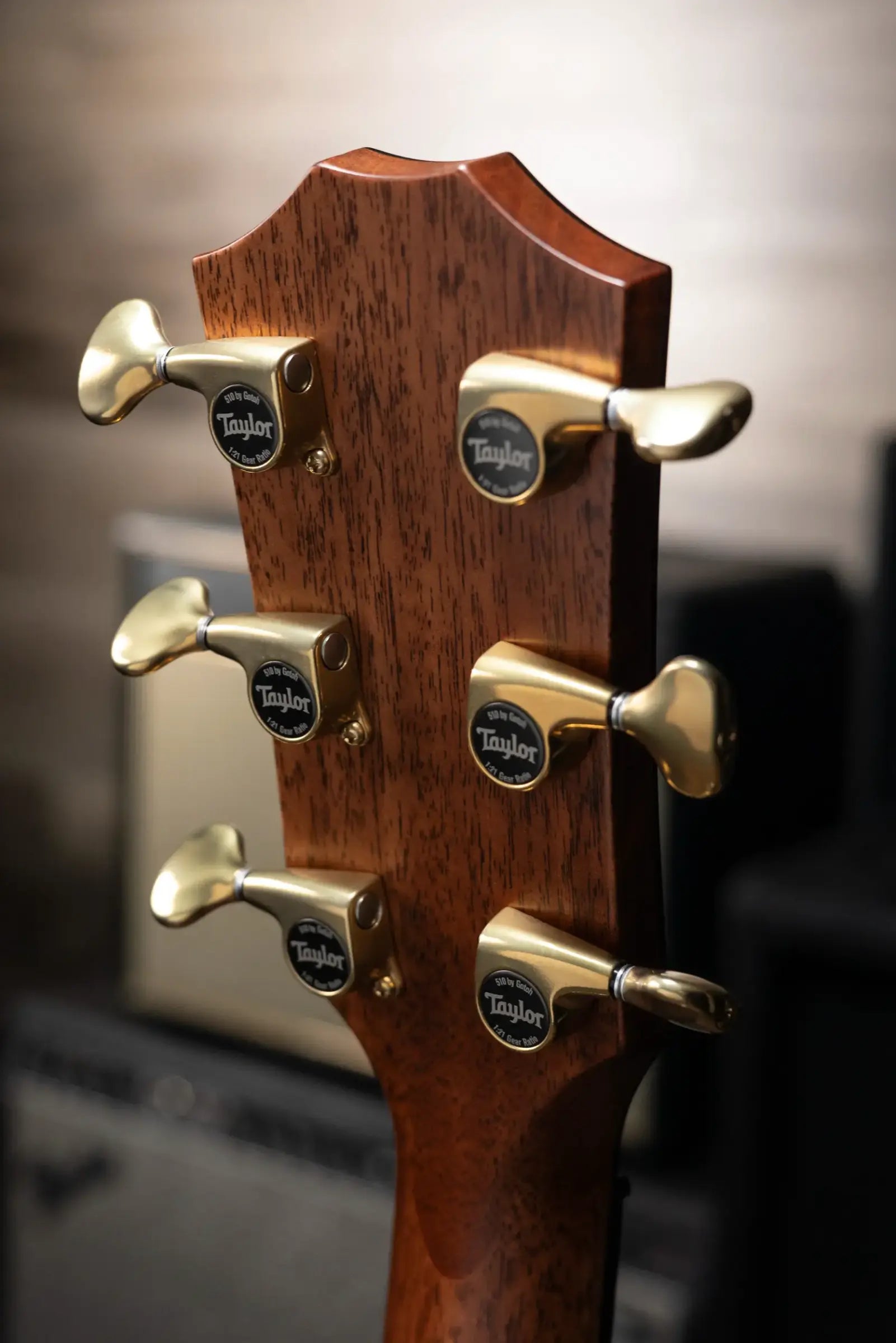 Taylor Builder's Edition 814ce LTD Grand Auditorium Acoustic/Electric Guitar - Macassar with Hardshell Case