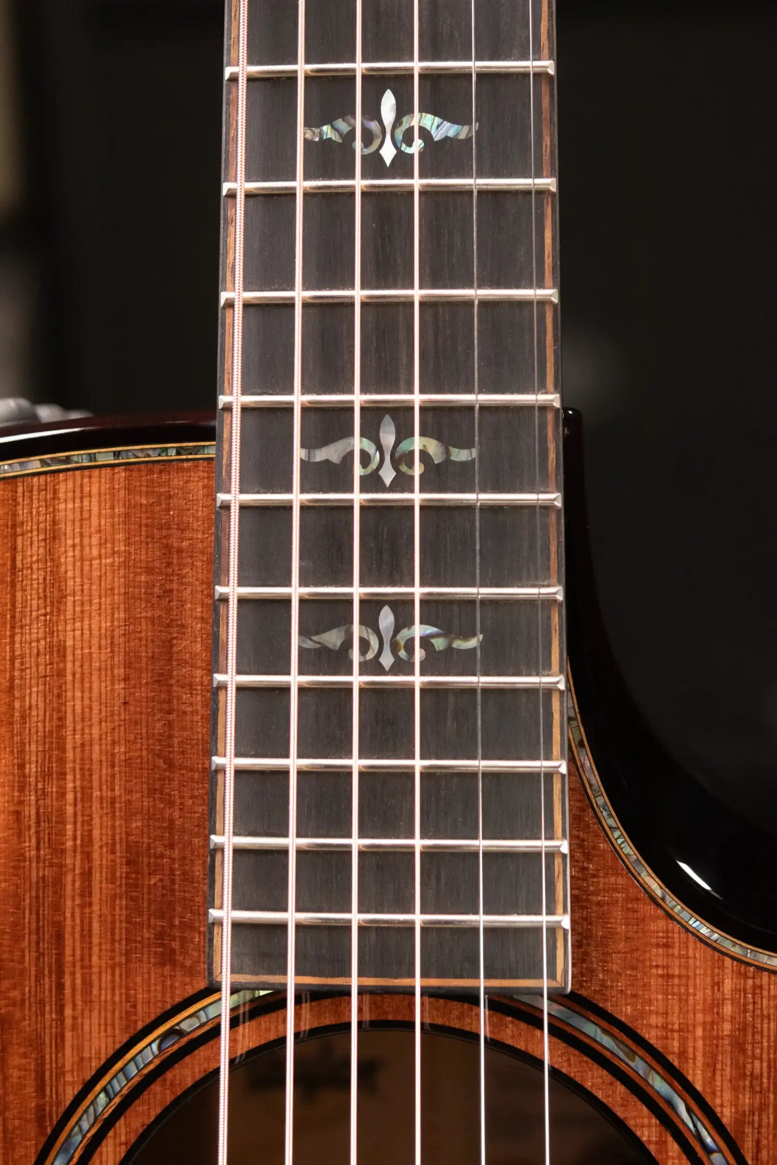 Taylor Builder's Edition 912ce Grand Concert Acoustic/Electric Guitar - Sinker Redwood/Honduran Rosewood with Hardshell Case