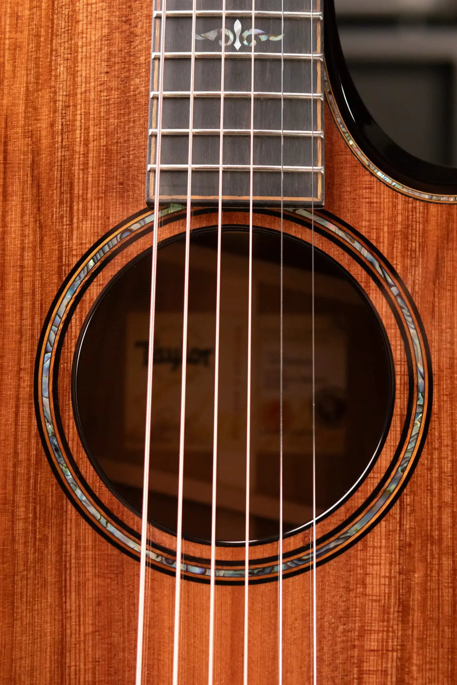Taylor Builder's Edition 912ce Grand Concert Acoustic/Electric Guitar - Sinker Redwood/Honduran Rosewood with Hardshell Case