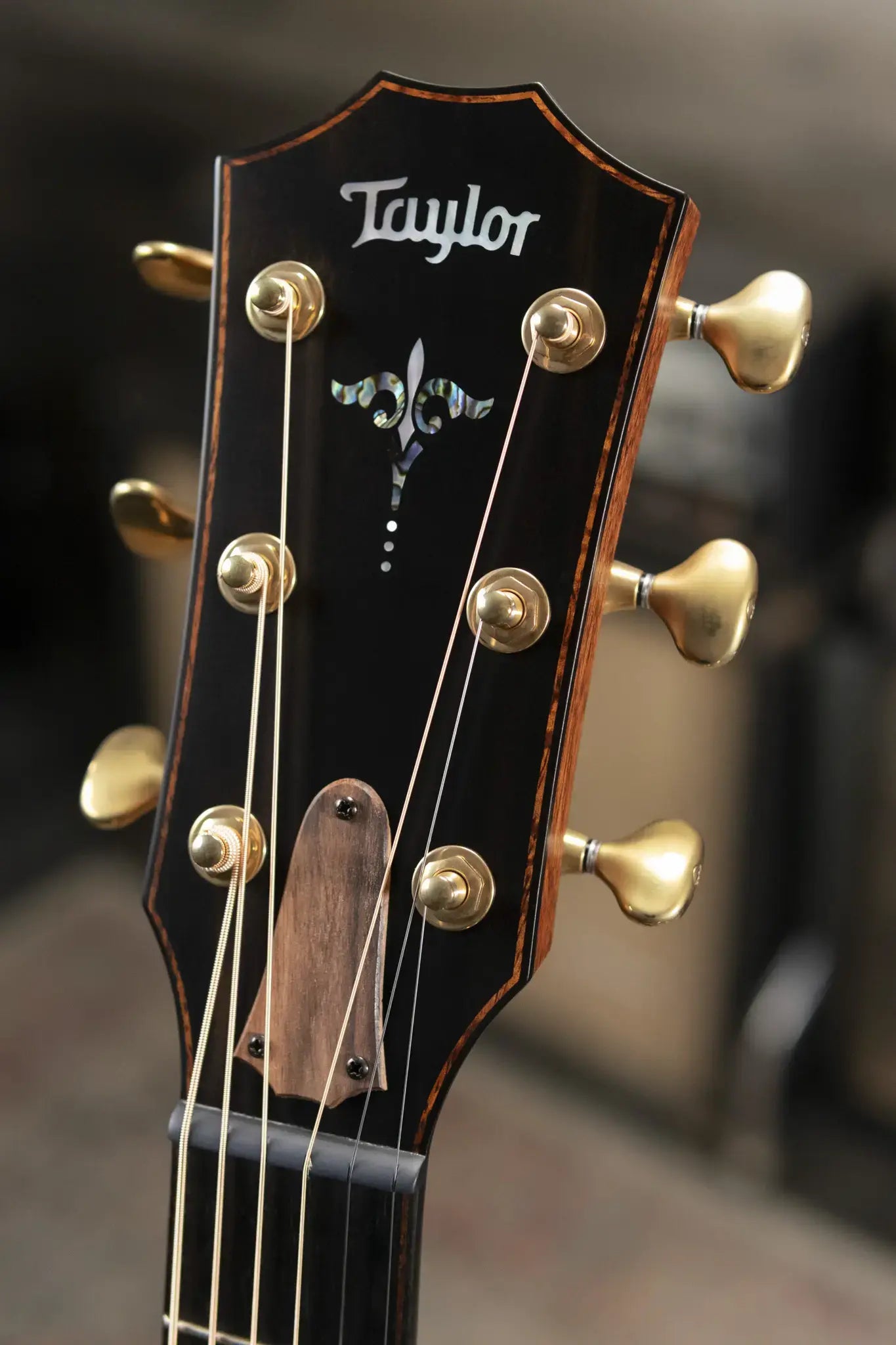 Taylor Builder's Edition 914ce Grand Auditorium Acoustic/Electric Guitar - Wild Honey Burst with Hardshell Case