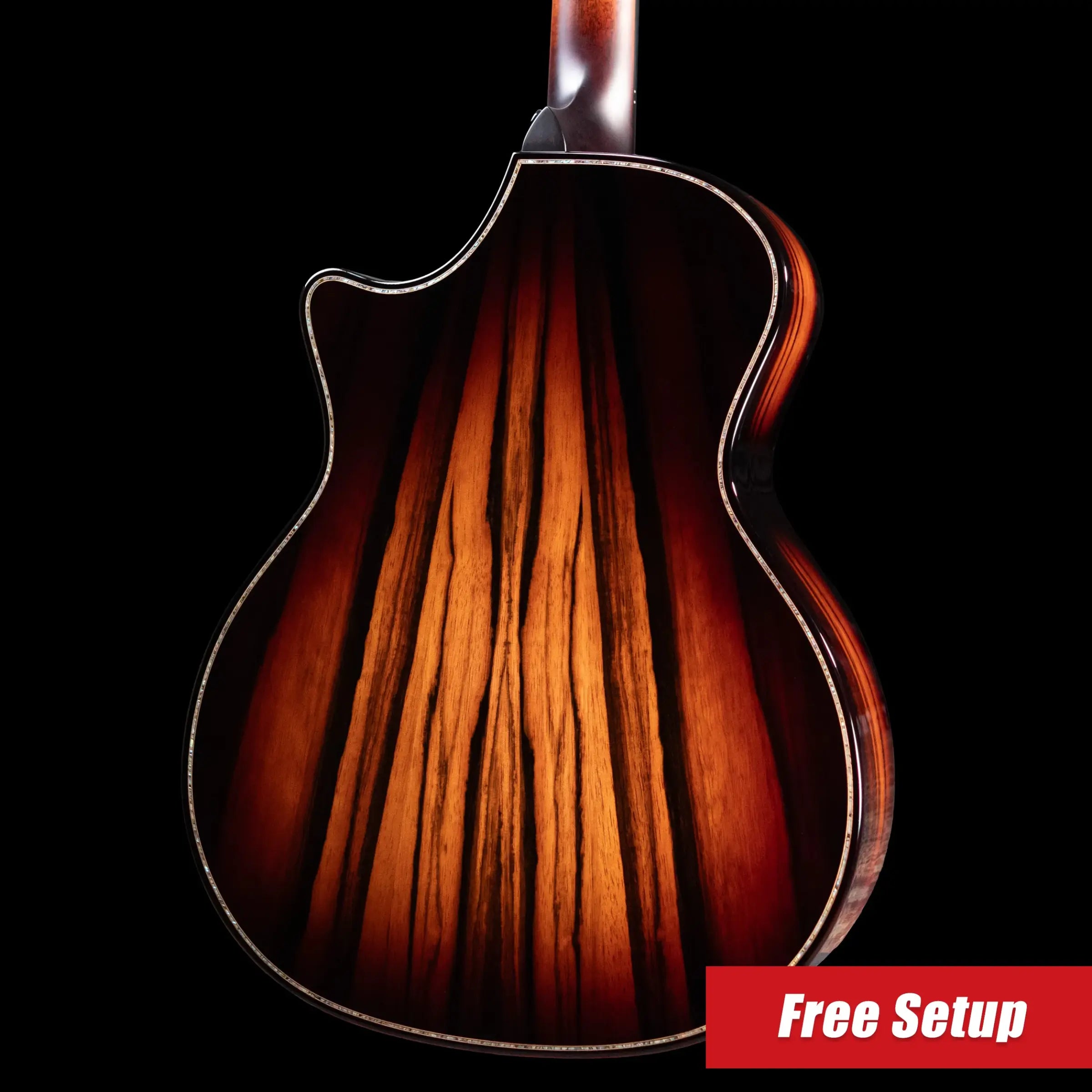 Taylor Builder's Edition 914ce LTD Macassar Ebony Grand Auditorium Acoustic/Electric Guitar with Hardshell Case