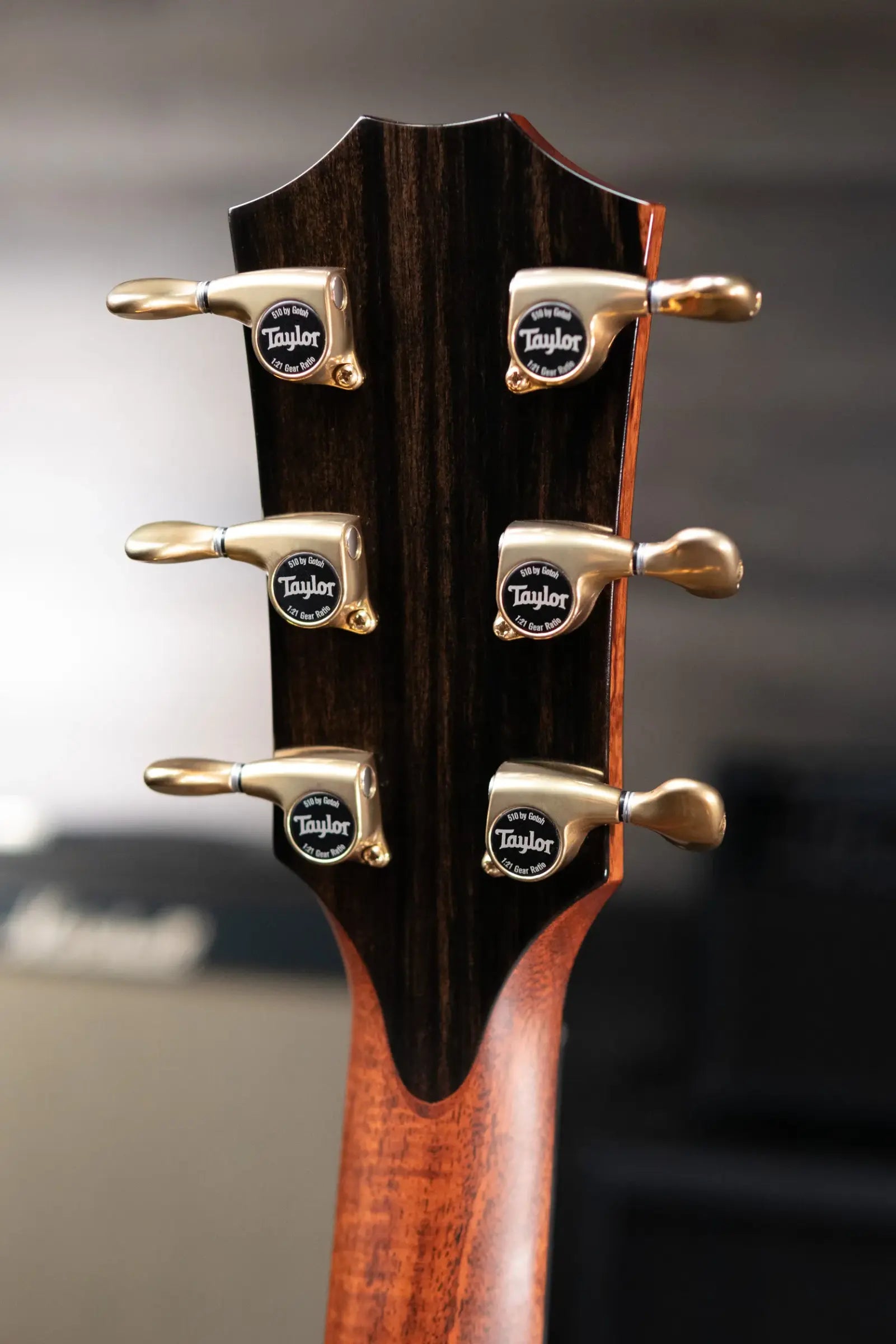 Taylor Builder's Edition 914ce LTD Macassar Ebony Grand Auditorium Acoustic/Electric Guitar with Hardshell Case