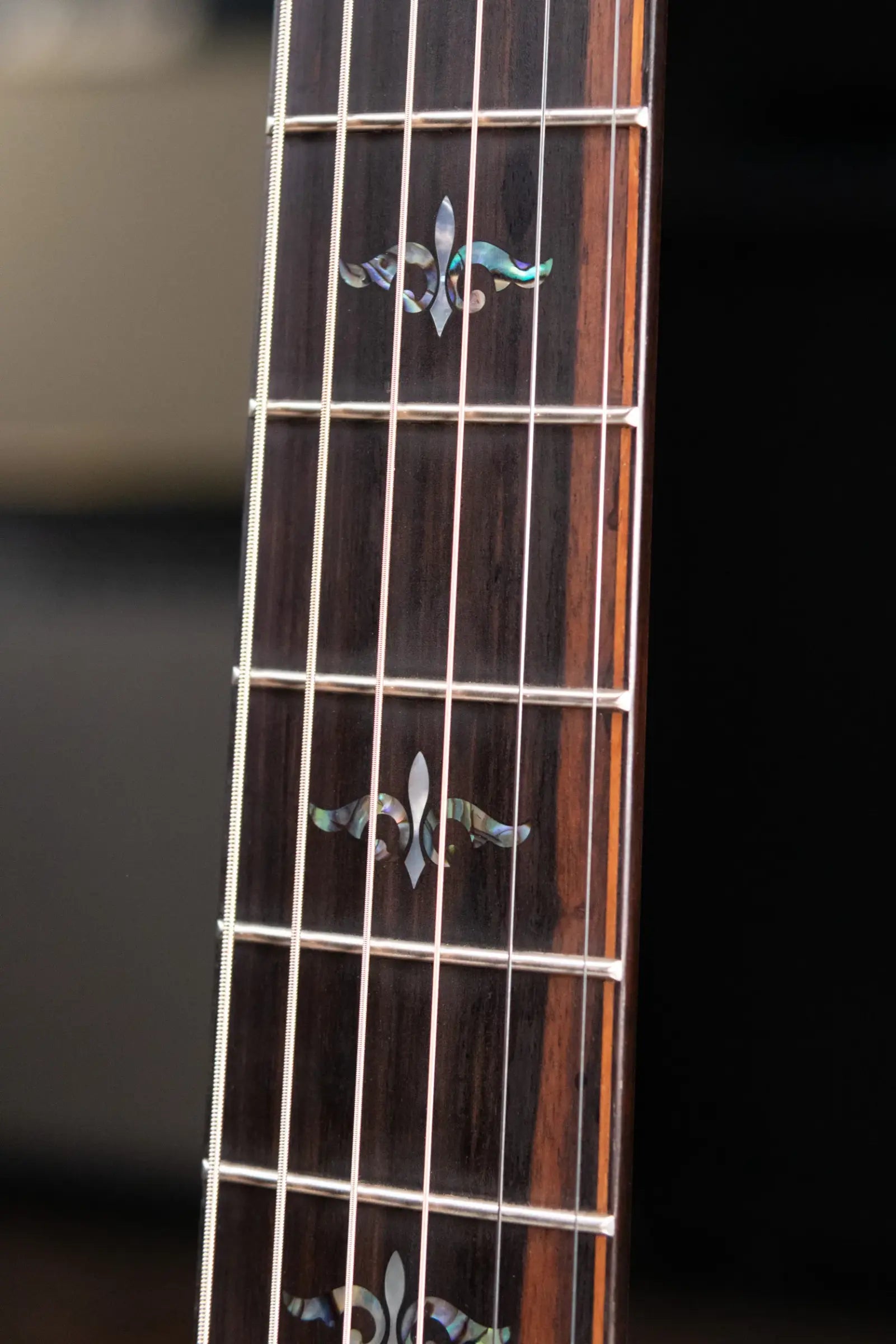 Taylor Builder's Edition 914ce LTD Macassar Ebony Grand Auditorium Acoustic/Electric Guitar with Hardshell Case
