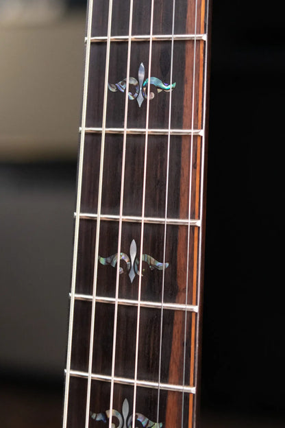 Taylor Builder's Edition 914ce LTD Macassar Ebony Grand Auditorium Acoustic/Electric Guitar with Hardshell Case