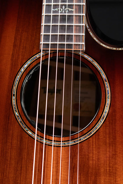Taylor Builder's Edition 914ce LTD Macassar Ebony Grand Auditorium Acoustic/Electric Guitar with Hardshell Case