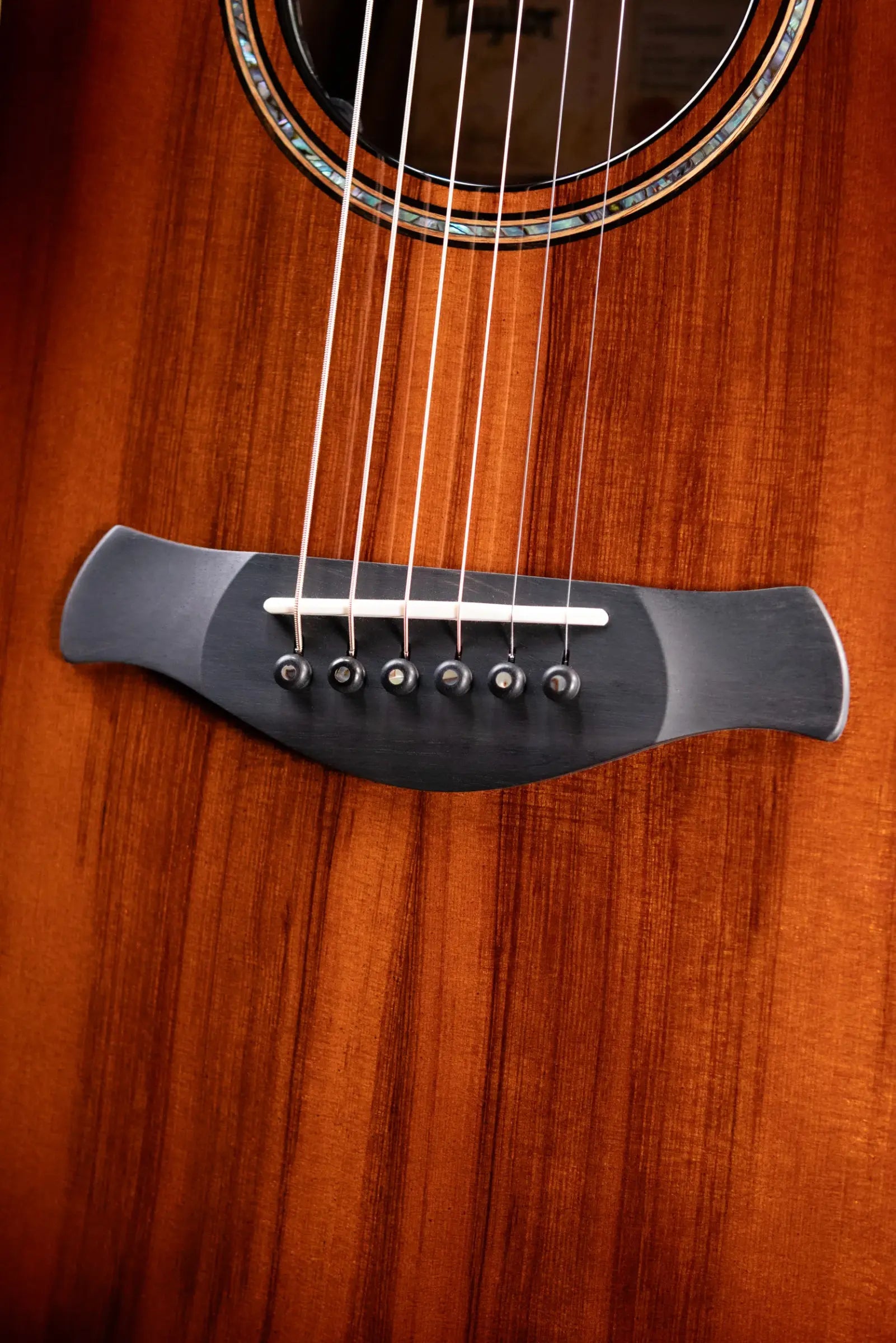 Taylor Builder's Edition 914ce LTD Macassar Ebony Grand Auditorium Acoustic/Electric Guitar with Hardshell Case