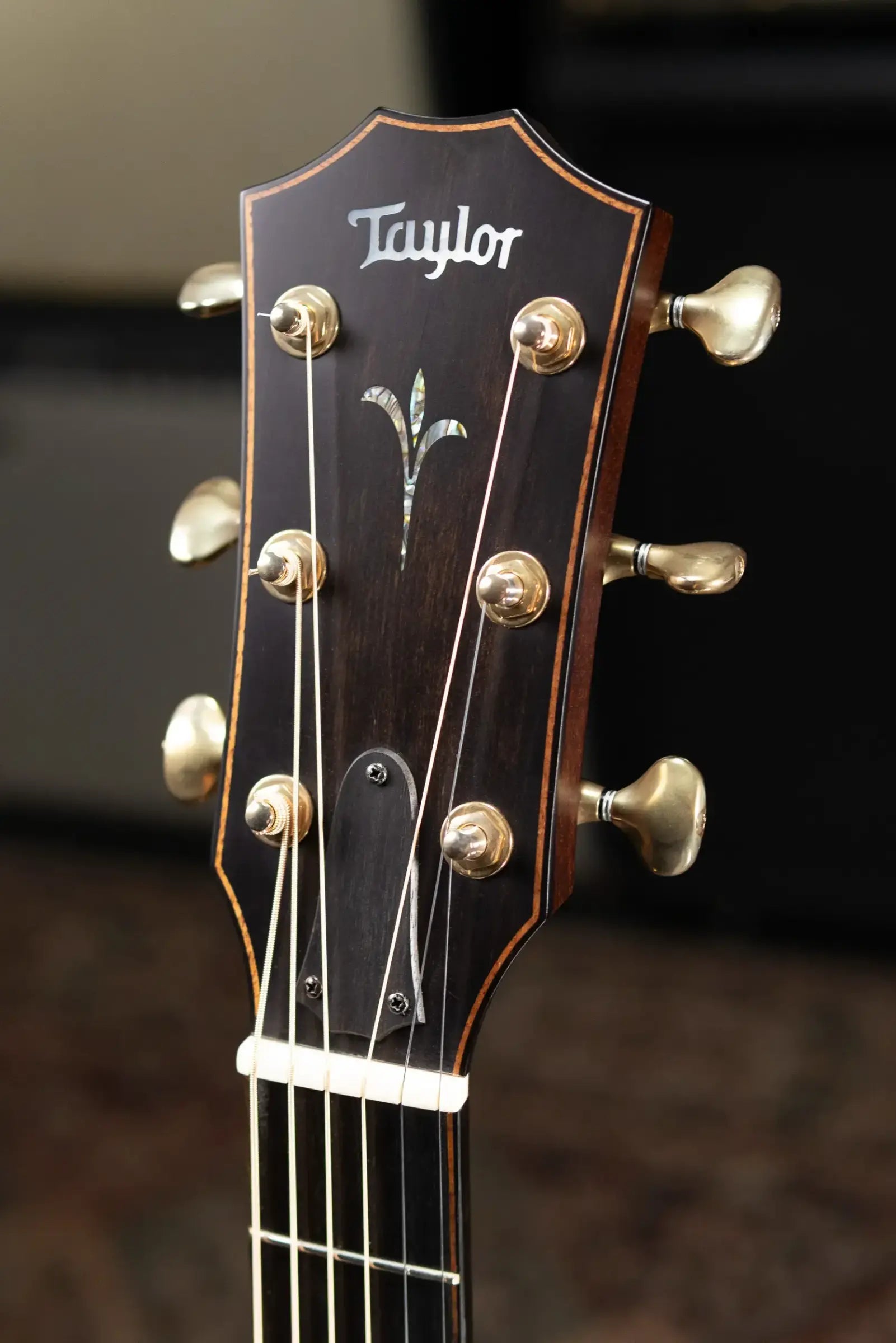 Taylor Builder's Edition K24ce Grand Auditorium Acoustic/Electric Guitar with Hardshell Case