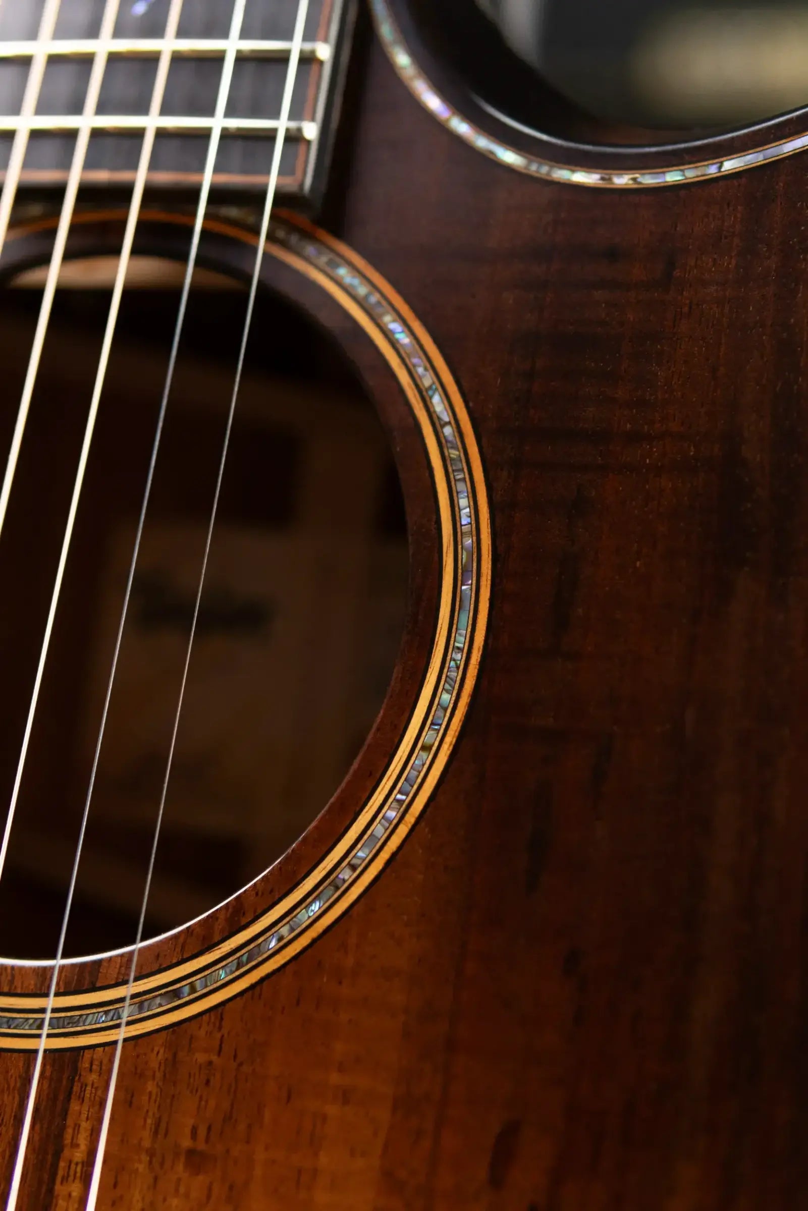 Taylor Builder's Edition K24ce Grand Auditorium Acoustic/Electric Guitar with Hardshell Case