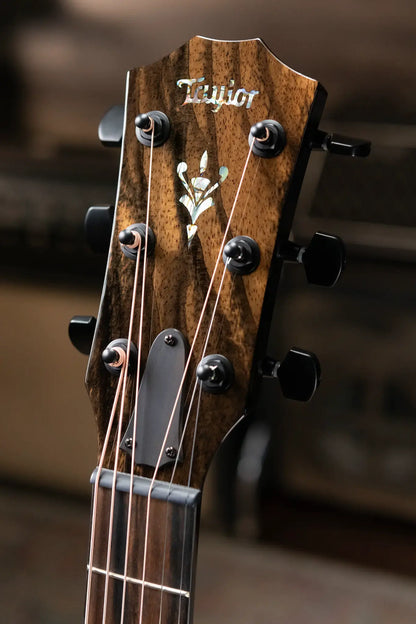 Taylor Custom Shop Grand Auditorium Acoustic/Electric - Maple/Sinker Cypress with Hardshell Case