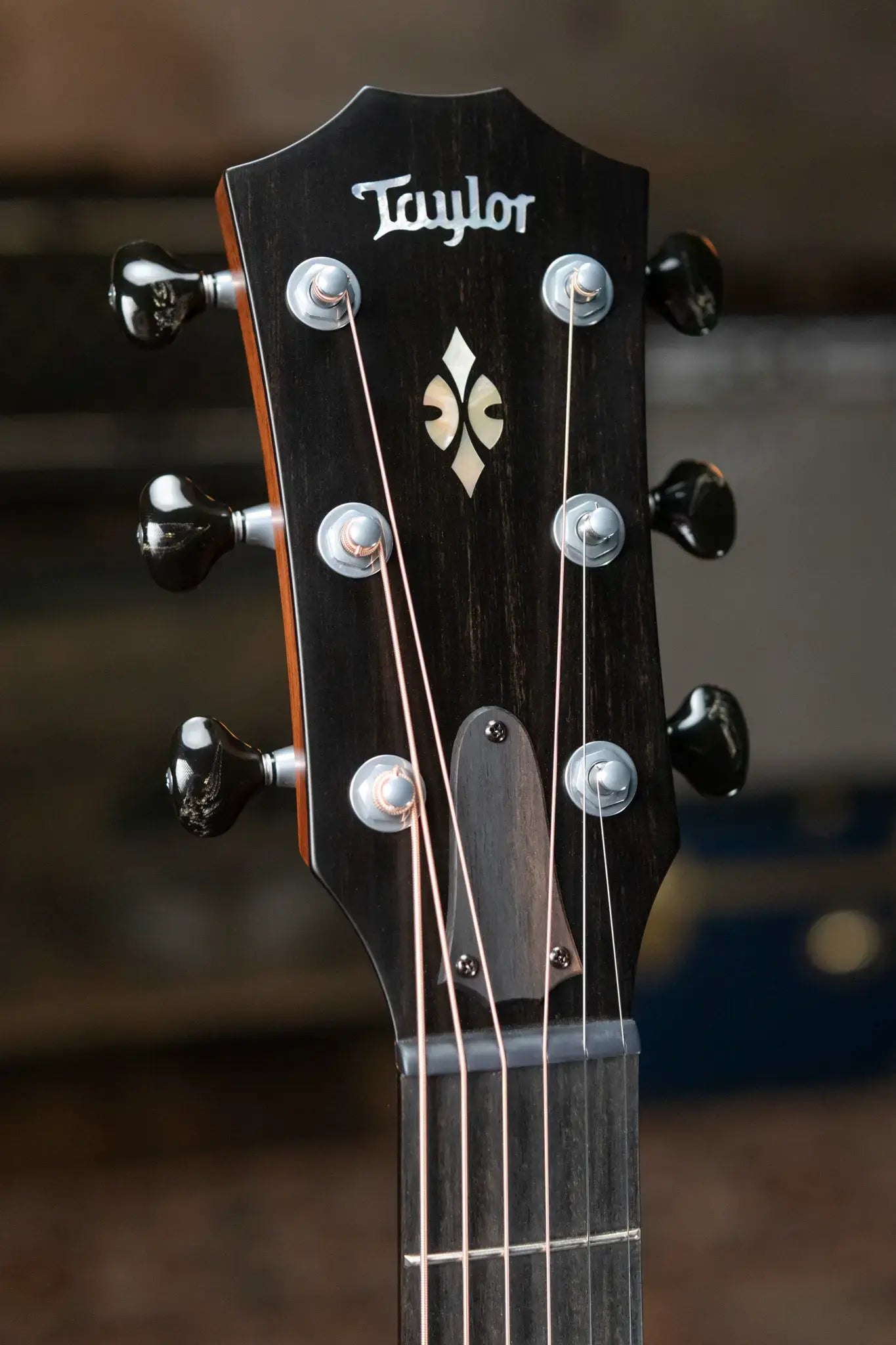 Taylor Custom Shop Grand Concert 12-Fret Acoustic/Electric with Hardshell Case