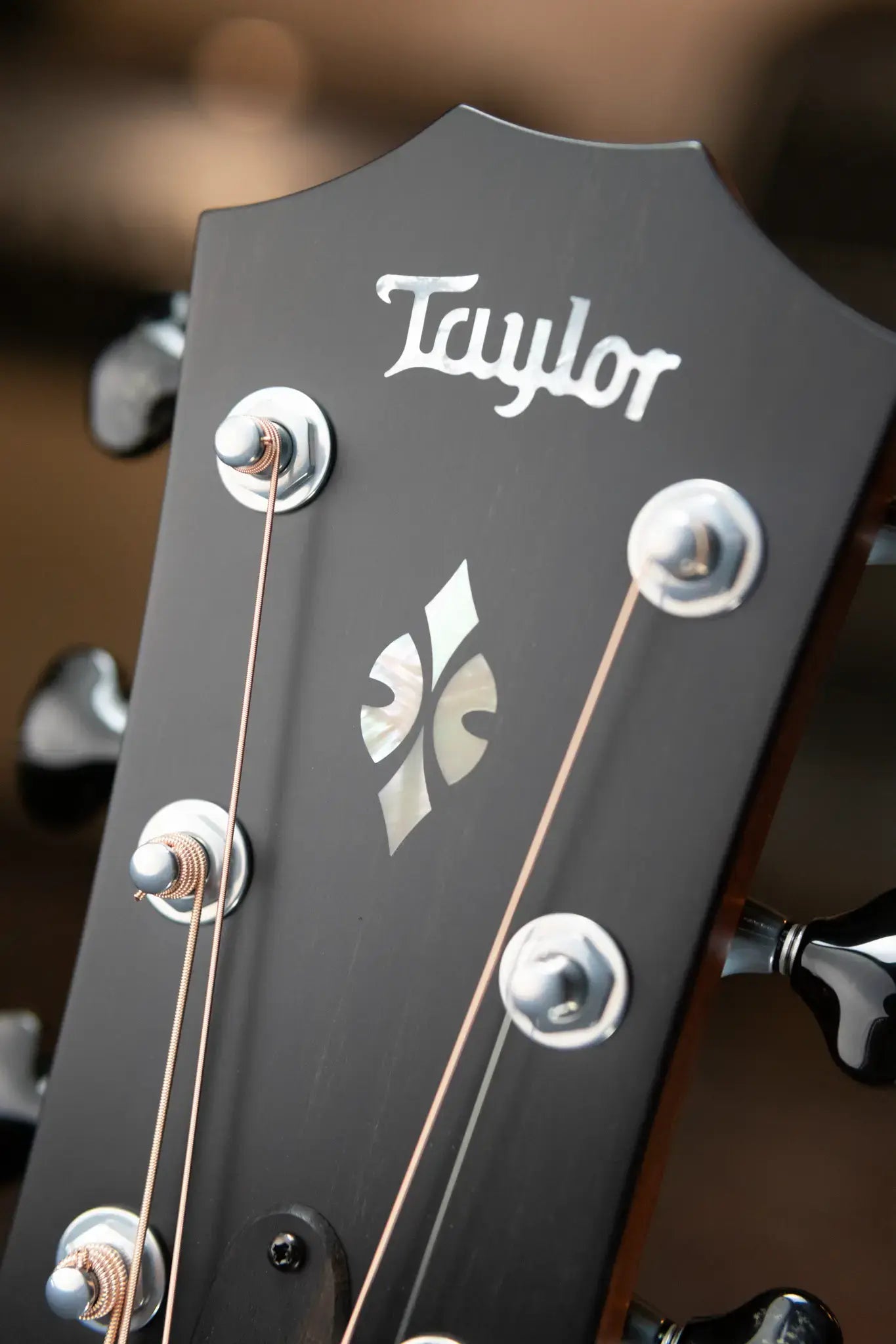 Taylor Custom Shop Grand Concert 12-Fret Acoustic/Electric with Hardshell Case