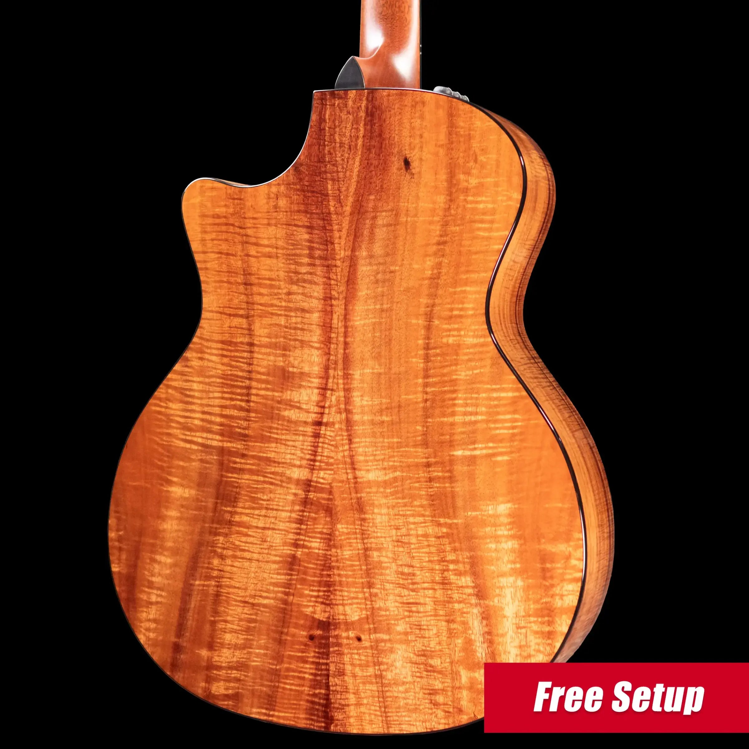 Taylor Custom Shop #12940 GA-9 9-String Grand Auditorium Acoustic/Electric Guitar - Hand Selected AA Koa with Hardshell Case