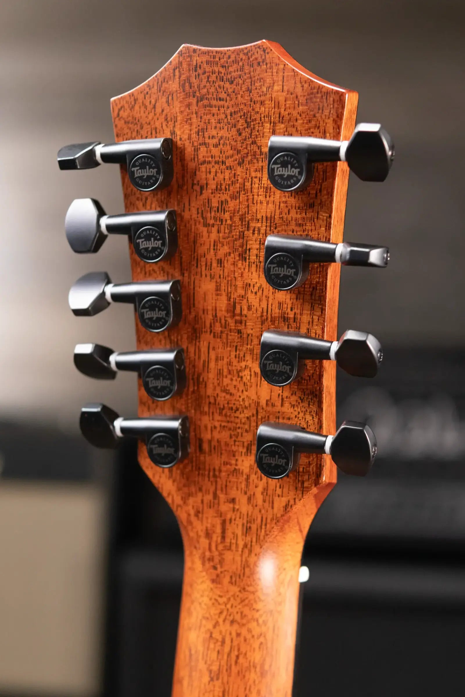 Taylor Custom Shop #12940 GA-9 9-String Grand Auditorium Acoustic/Electric Guitar - Hand Selected AA Koa with Hardshell Case