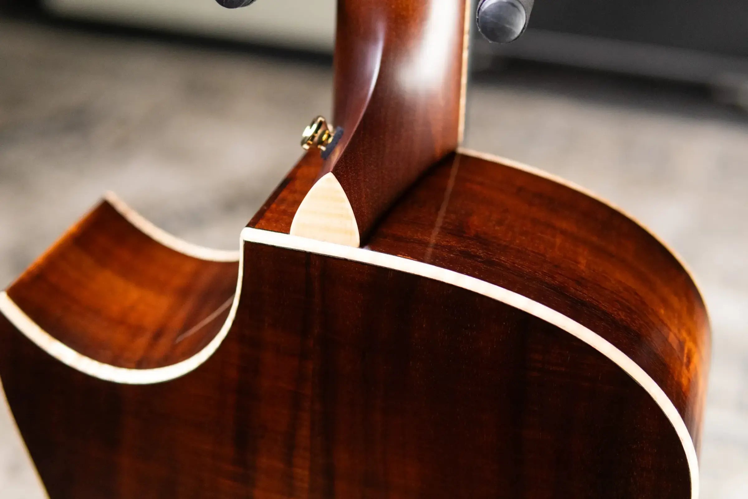 Taylor Custom Shop #C0023 Gold Label Super Auditorium Acoustic/Electric Guitar with Hardshell Case