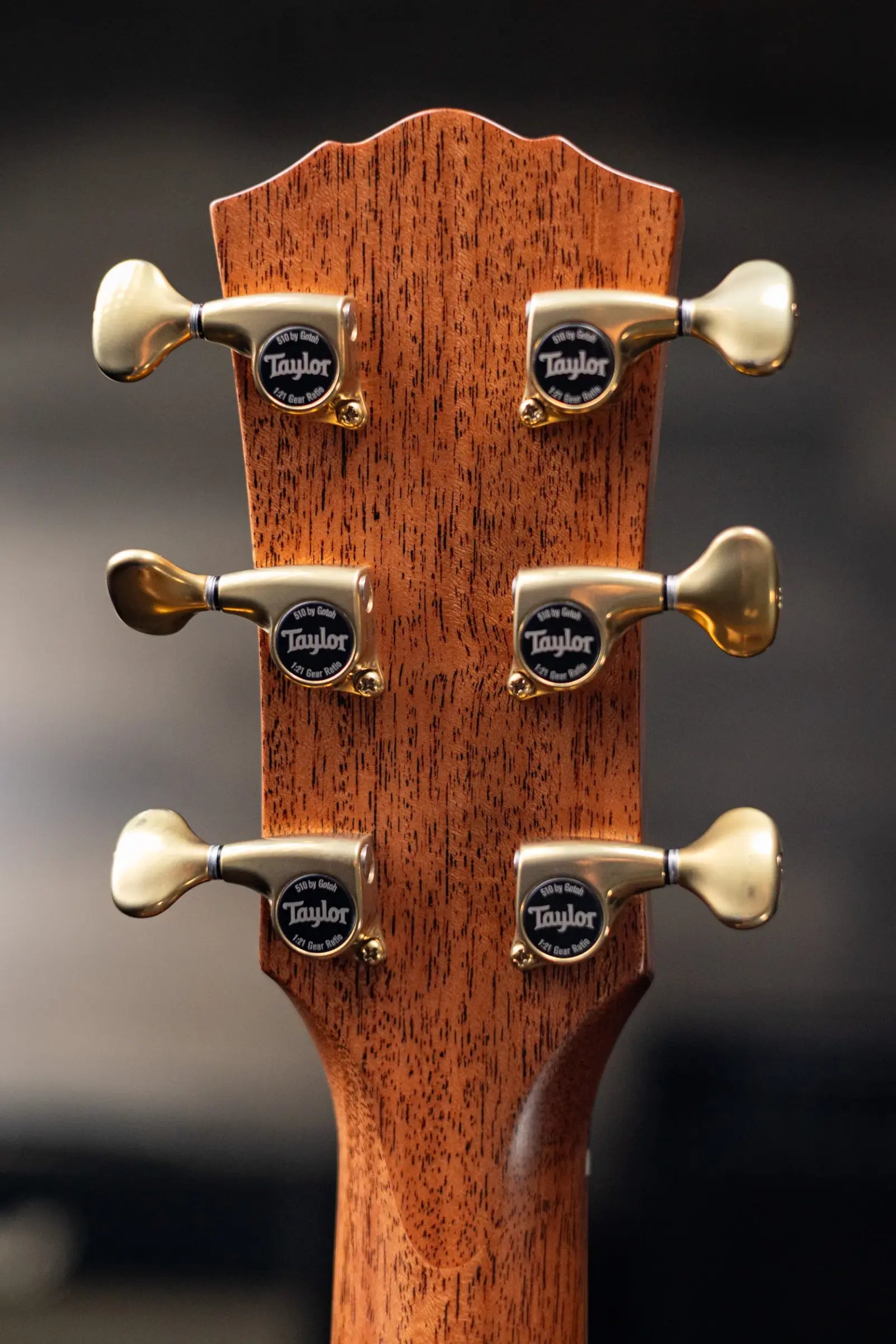 Taylor Custom Shop #C0713 2026 Catch Custom Gold Label Super Auditorium Acoustic/Electric Guitar - Adirondack/Indian Rosewood with Hardshell Case