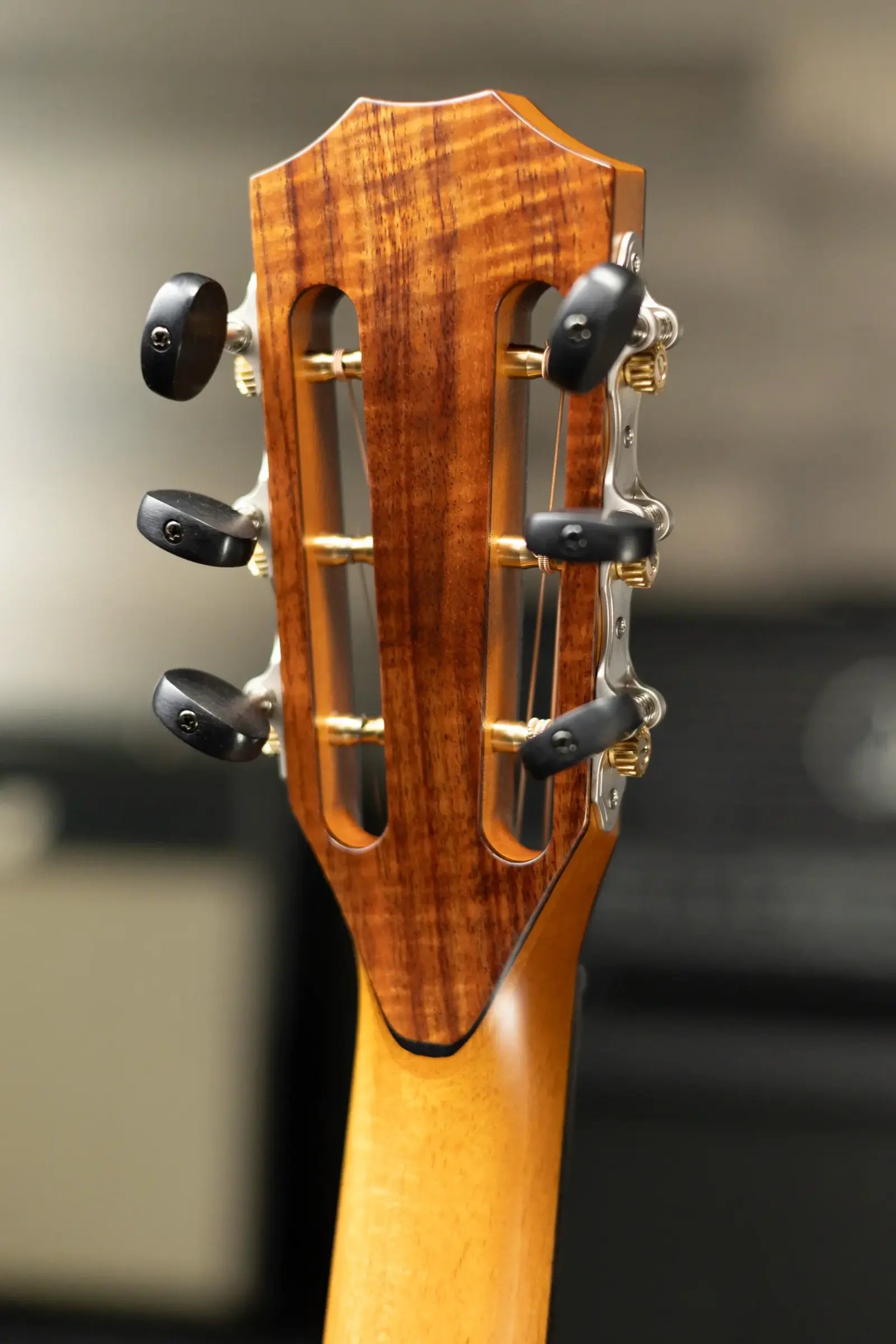 Taylor Custom Shop C12ce B6026 2026 NAMM Catch Custom #26 Grand Concert Acoustic/Electric Guitar with Hardshell Case