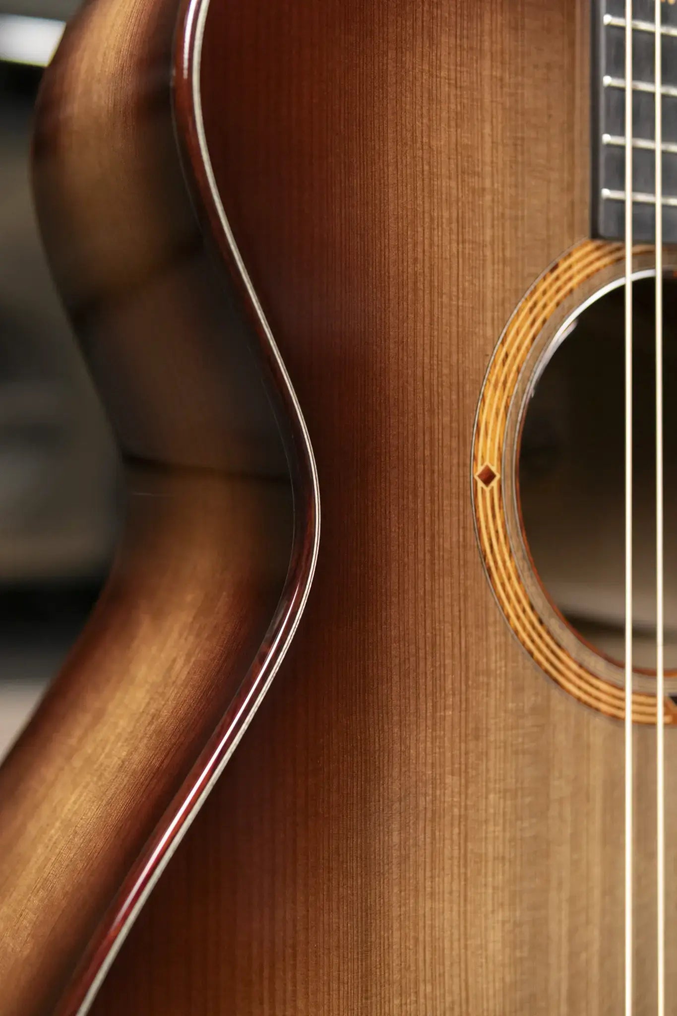 Taylor "The Monument" 1 of 20 C12e 12-Fret 2025 Catch Event #10 Grand Concert Acoustic/Electric Guitar - Black Limba/Sinker Cypress with Hardshell Case