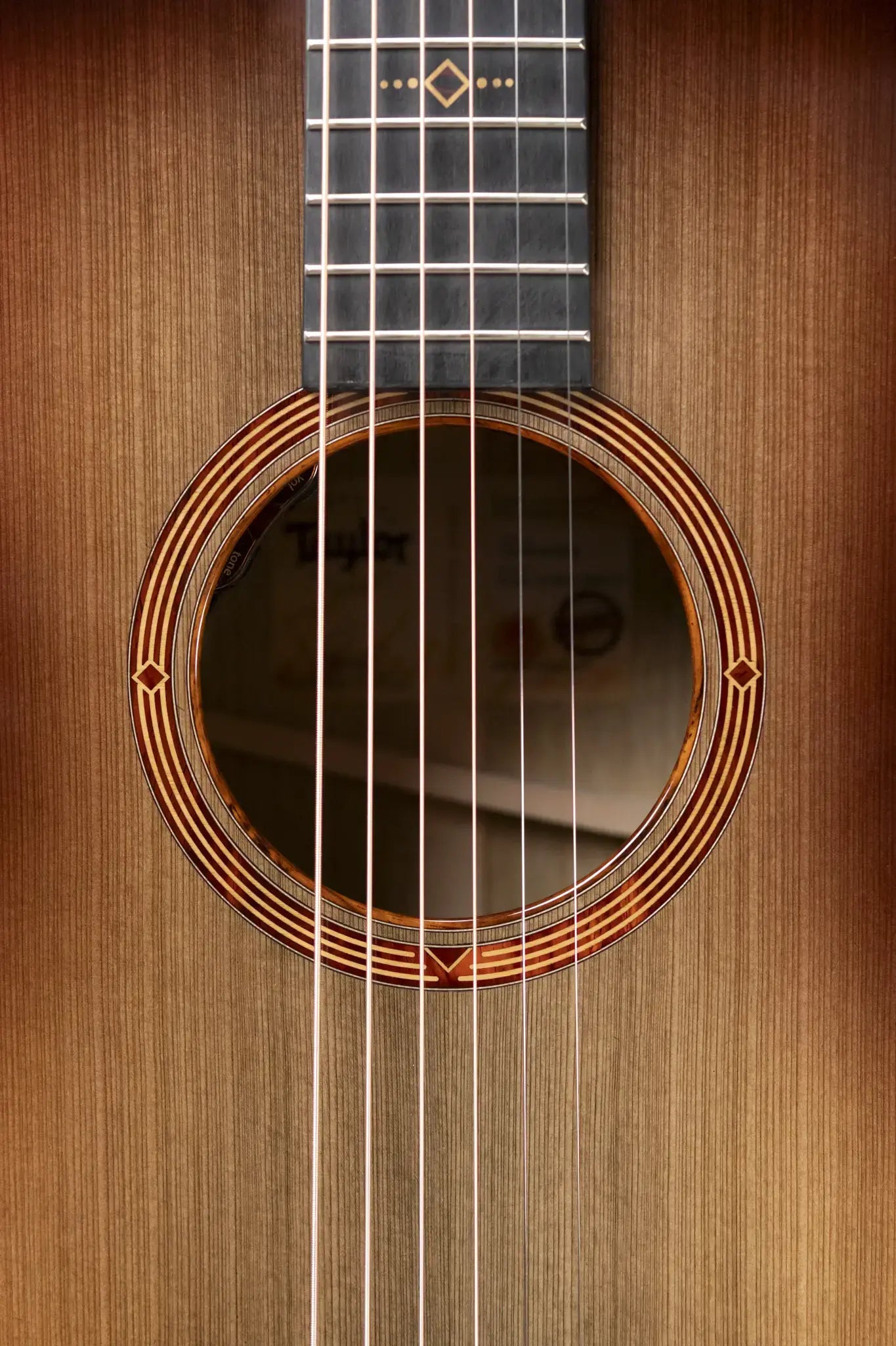Taylor "The Monument" 1 of 20 C12e 12-Fret 2025 Catch Event #10 Grand Concert Acoustic/Electric Guitar - Black Limba/Sinker Cypress with Hardshell Case
