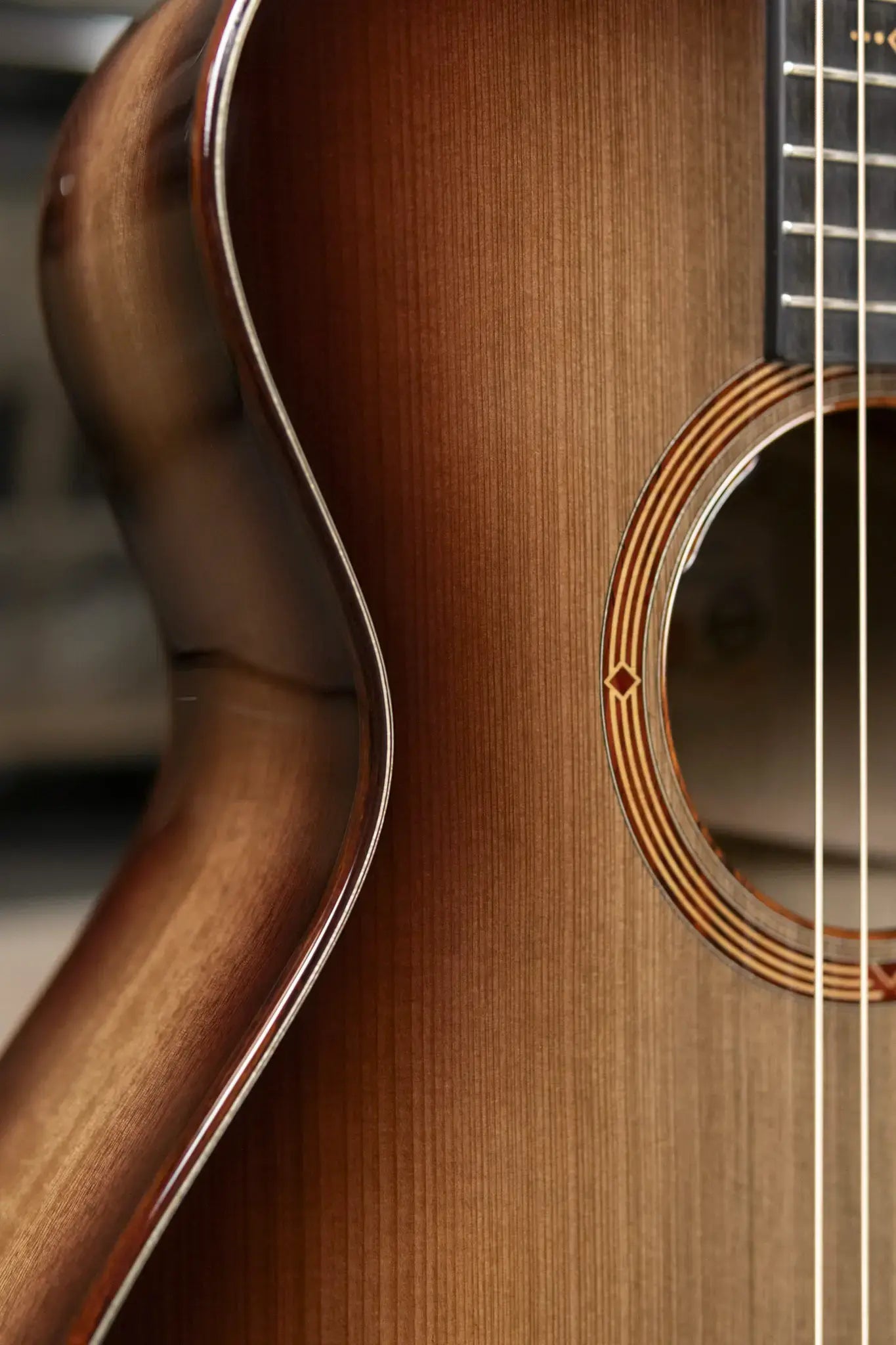 Taylor "The Monument" 1 of 20 C12e 12-Fret 2025 Catch Event #10 Grand Concert Acoustic/Electric Guitar - Black Limba/Sinker Cypress with Hardshell Case