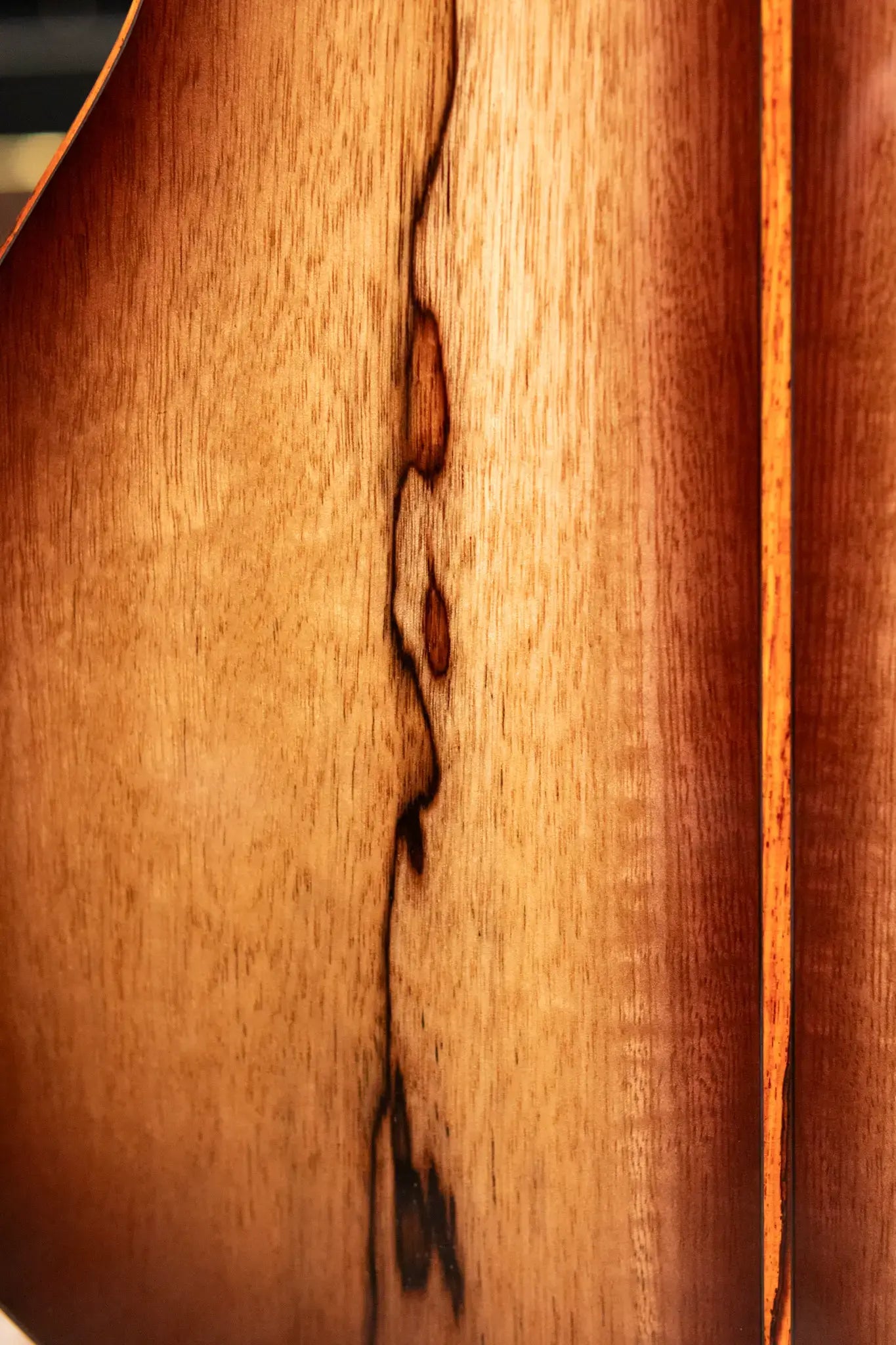 Taylor "The Monument" 1 of 20 12-Fret 2025 Catch Event #10 Grand Concert Acoustic/Electric Guitar - Black Limba/Sinker Cypress with Hardshell Case