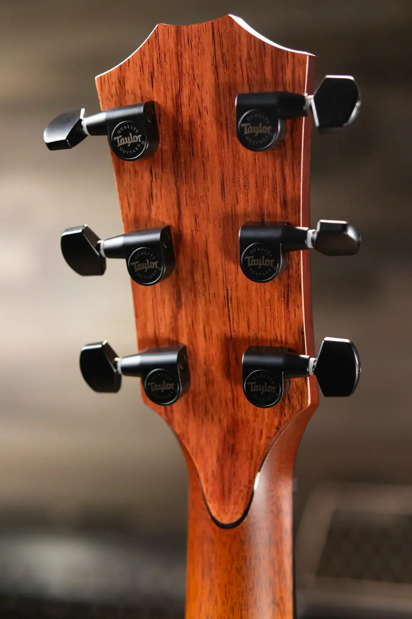 Taylor Custom Shop C14ce B5042 2025 Catch Event #42 Grand Auditorium Acoustic/Electric Guitar - Sassafras/Bearclaw Sitka Spruce with Hardshell Case