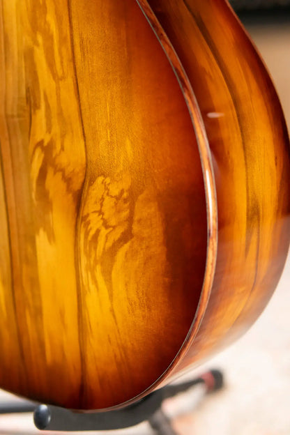 Taylor Custom Shop C14ce B5042 2025 Catch Event #42 Grand Auditorium Acoustic/Electric Guitar - Sassafras/Bearclaw Sitka Spruce with Hardshell Case