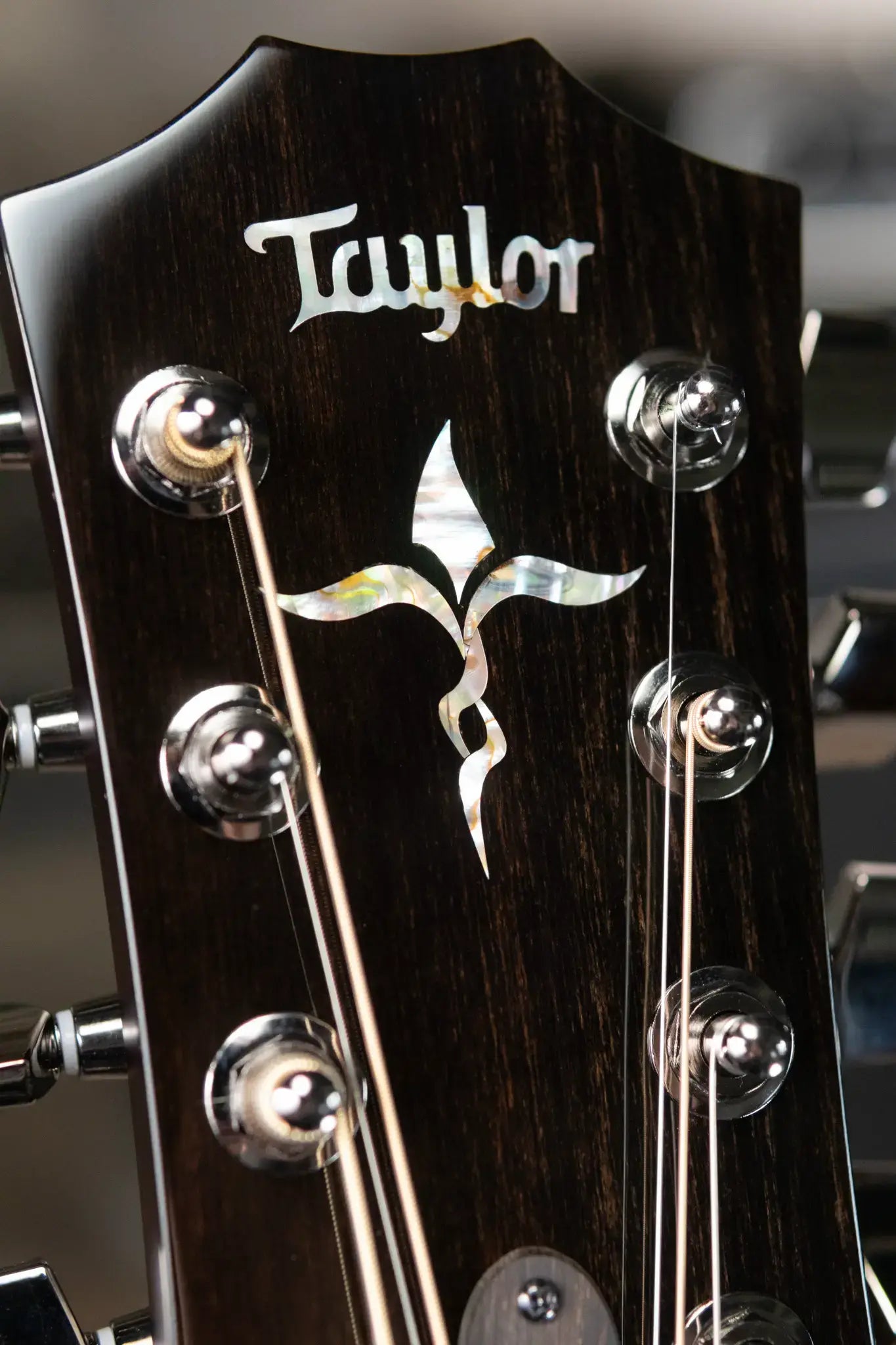 Taylor Custom Shop C24e Grand Auditorium Baritone-8 8-String Acoustic/Electric Guitar - Figured Blackwood with Hardshell Case