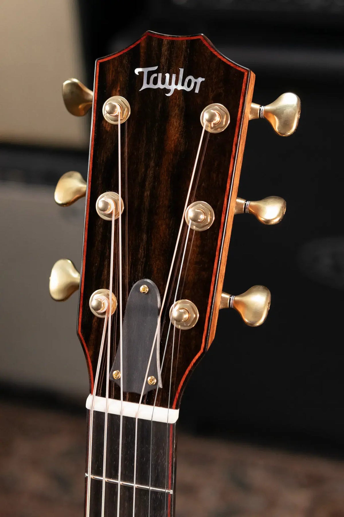 Taylor Custom Shop C25ce B6005 2026 Catch Custom #5 Jumbo Acoustic/Electric Guitar with Hardshell Case