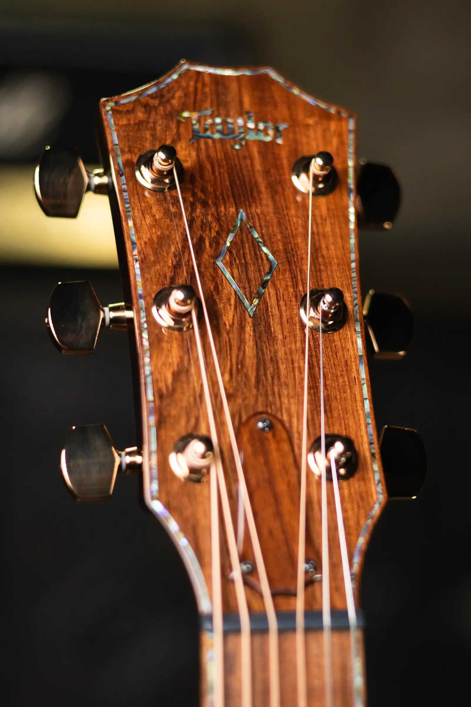 Taylor ‘25 Catch Custom C28e #24 Grand Orchestra Mahogany Acoustic/Electric Guitar with Hardshell Case