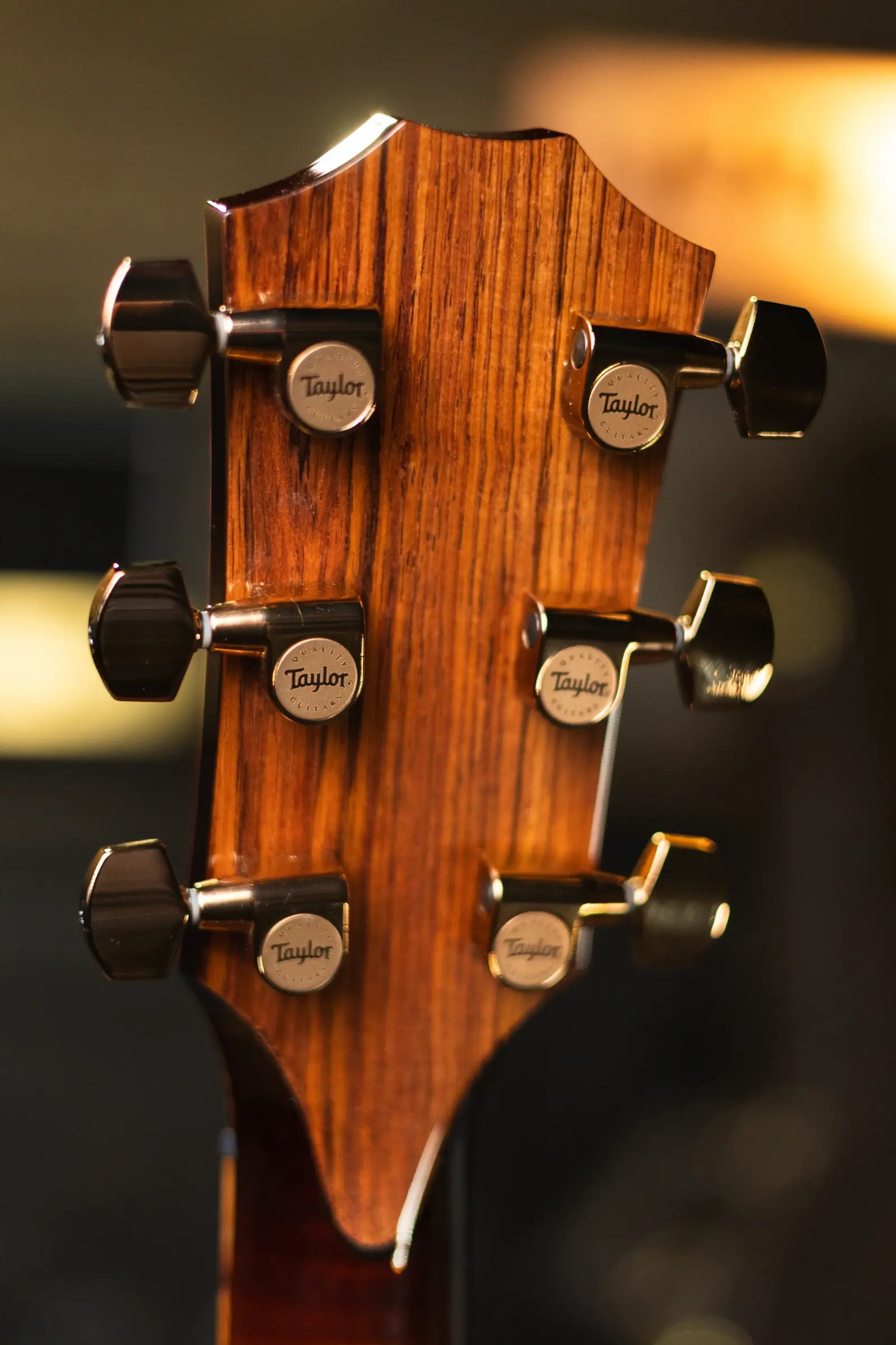 Taylor ‘25 Catch Custom C28e #24 Grand Orchestra Mahogany Acoustic/Electric Guitar with Hardshell Case