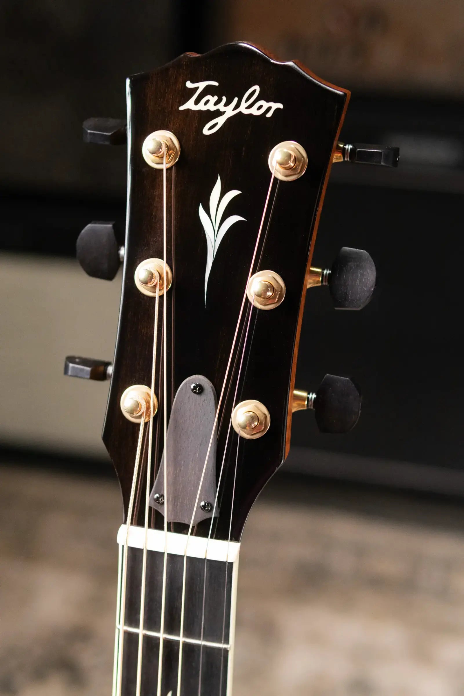 Taylor Custom Shop Gold Label Super Auditorium #C0967 Bob Taylor Hand-Picked Sinker Cypress Top with Brazilian Rosewood Acoustic Guitar with Hardshell Case