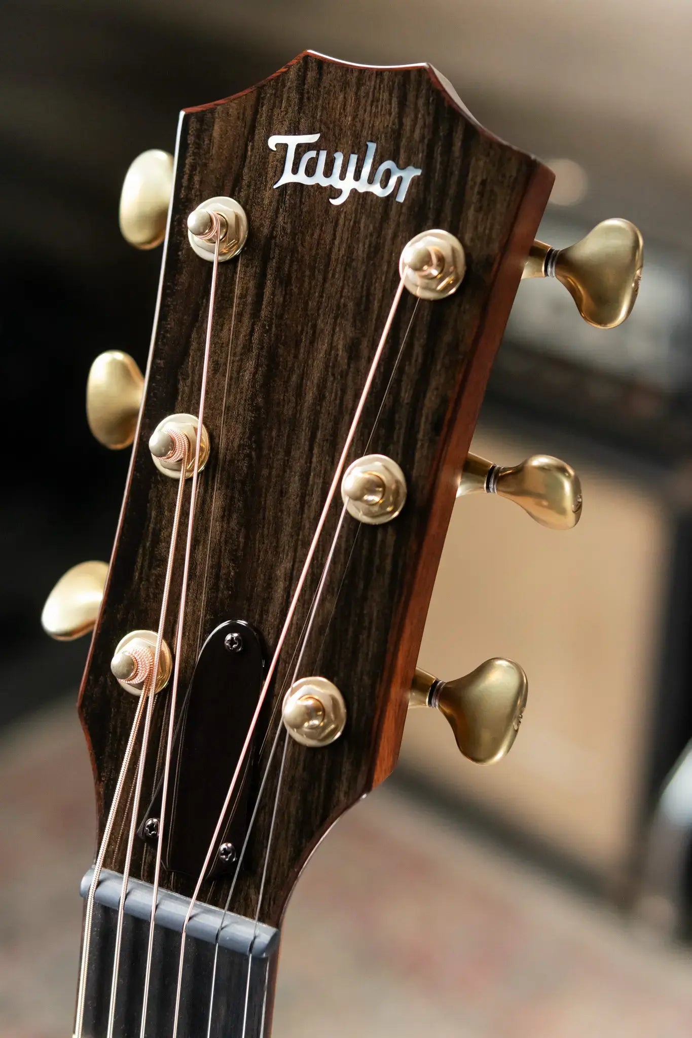 Taylor Custom Shop Grand Auditorium Rosewood/Adirondack Acoustic/Electric Guitar with L.R Baggs VTC pickup and Hardshell Case