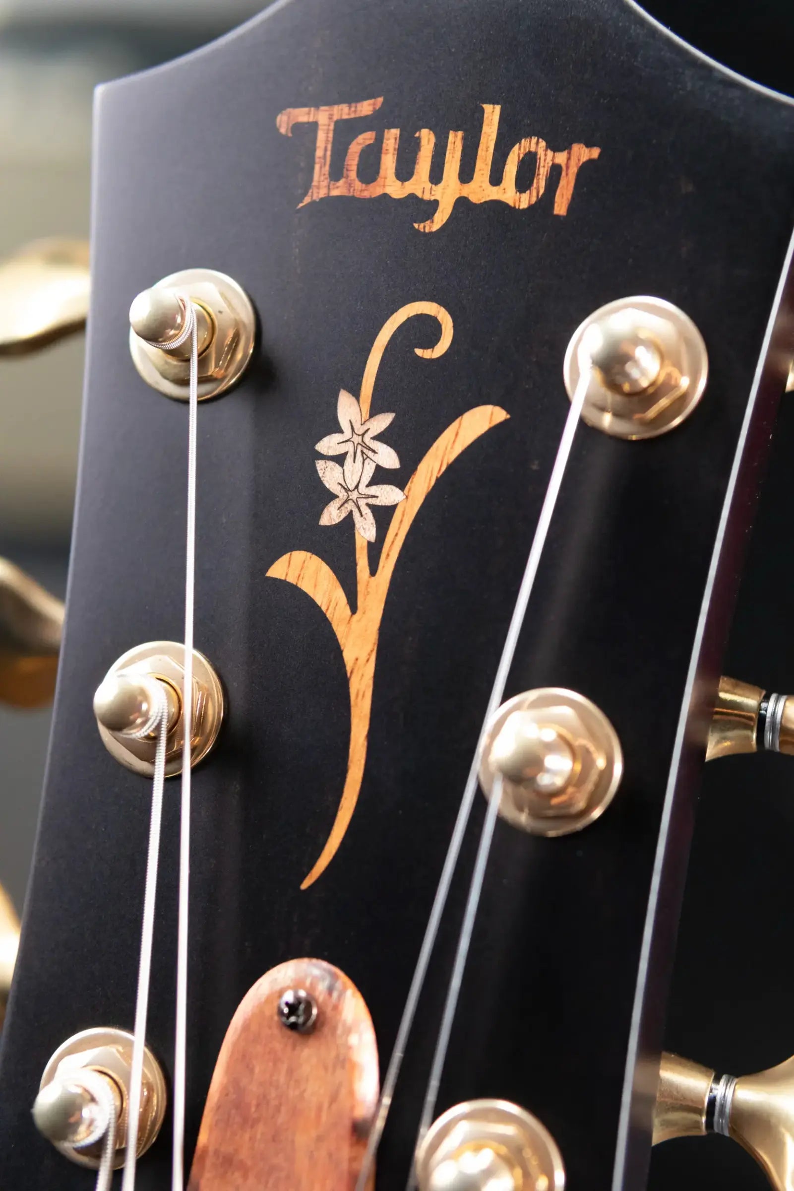 Taylor Custom Shop T5z Custom #C0957 Hawaiian Koa/Shamel Ash Hollow Body Electric Guitar with Hardshell Case